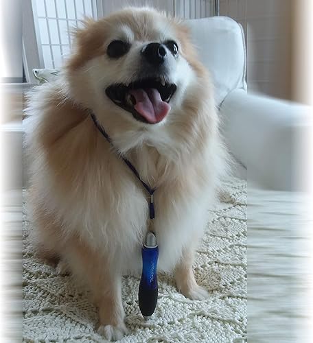 Miniatura 6 de Super Big Fat Pen para artritis (paquete de 5) tinta azul, cuerpo azul + 5 repuestos de tinta