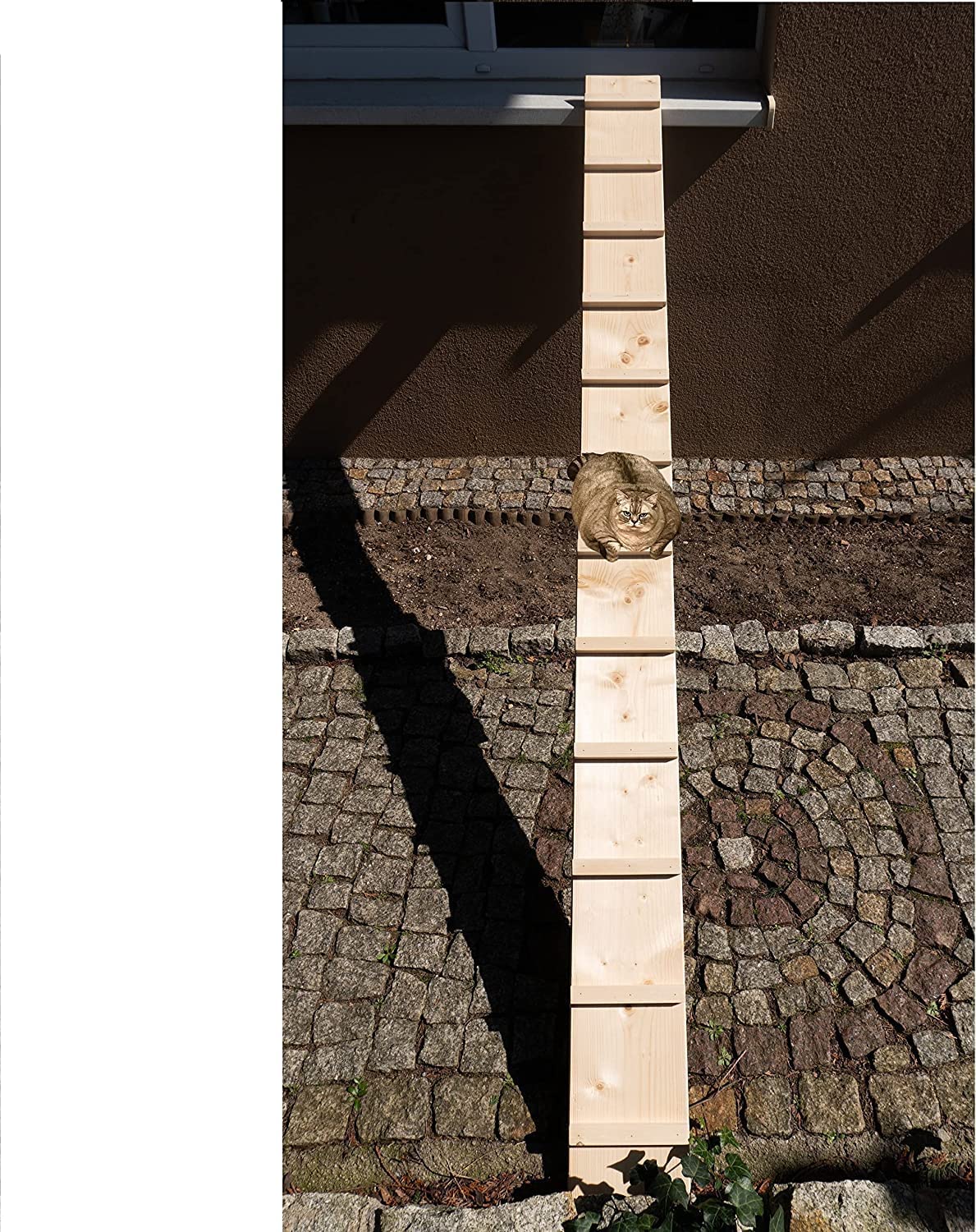 Scala per gatti, gradino per gatti, per balcone, scale, 3 m, con ganci in metallo