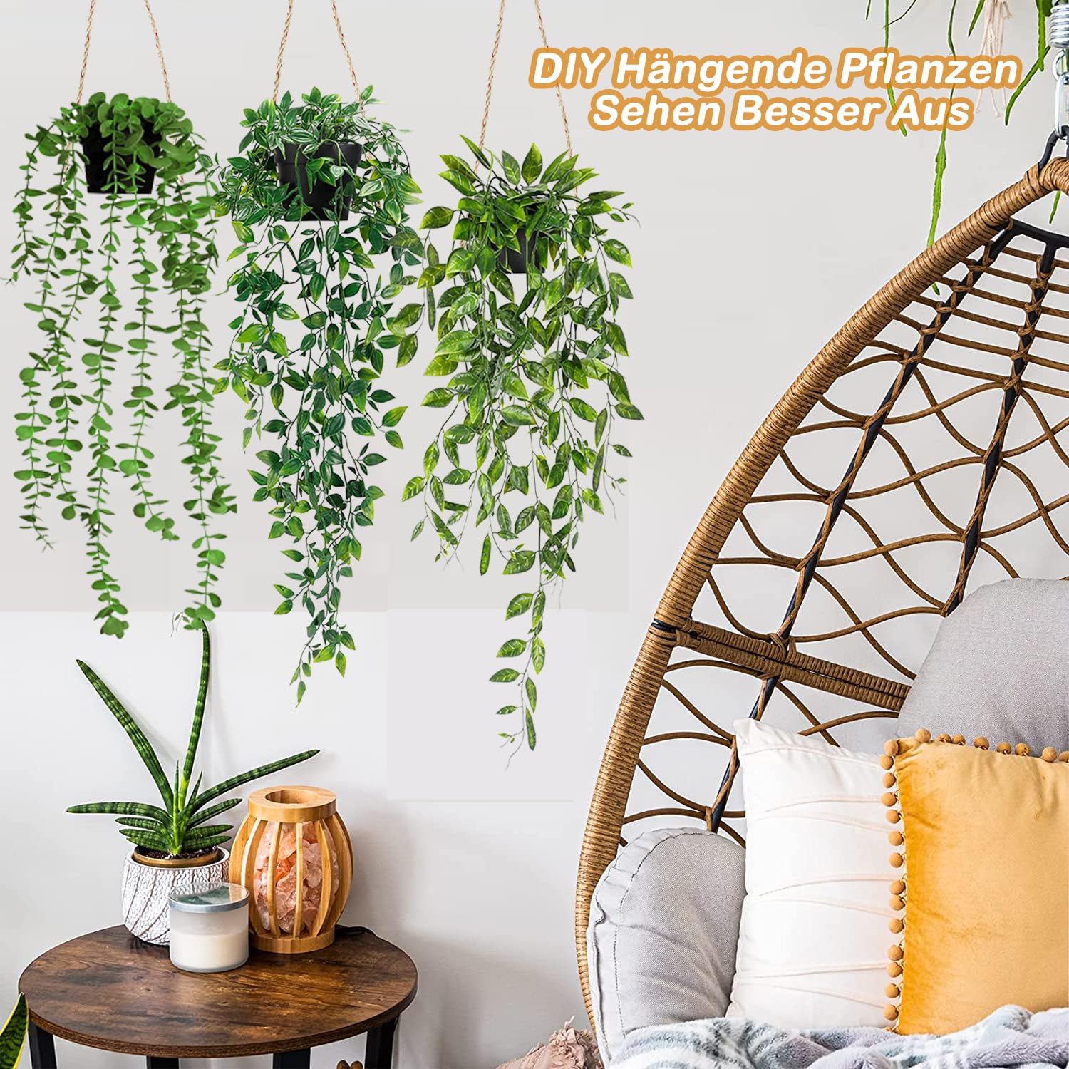 Humata teyermanii varen hangplant - online kopen