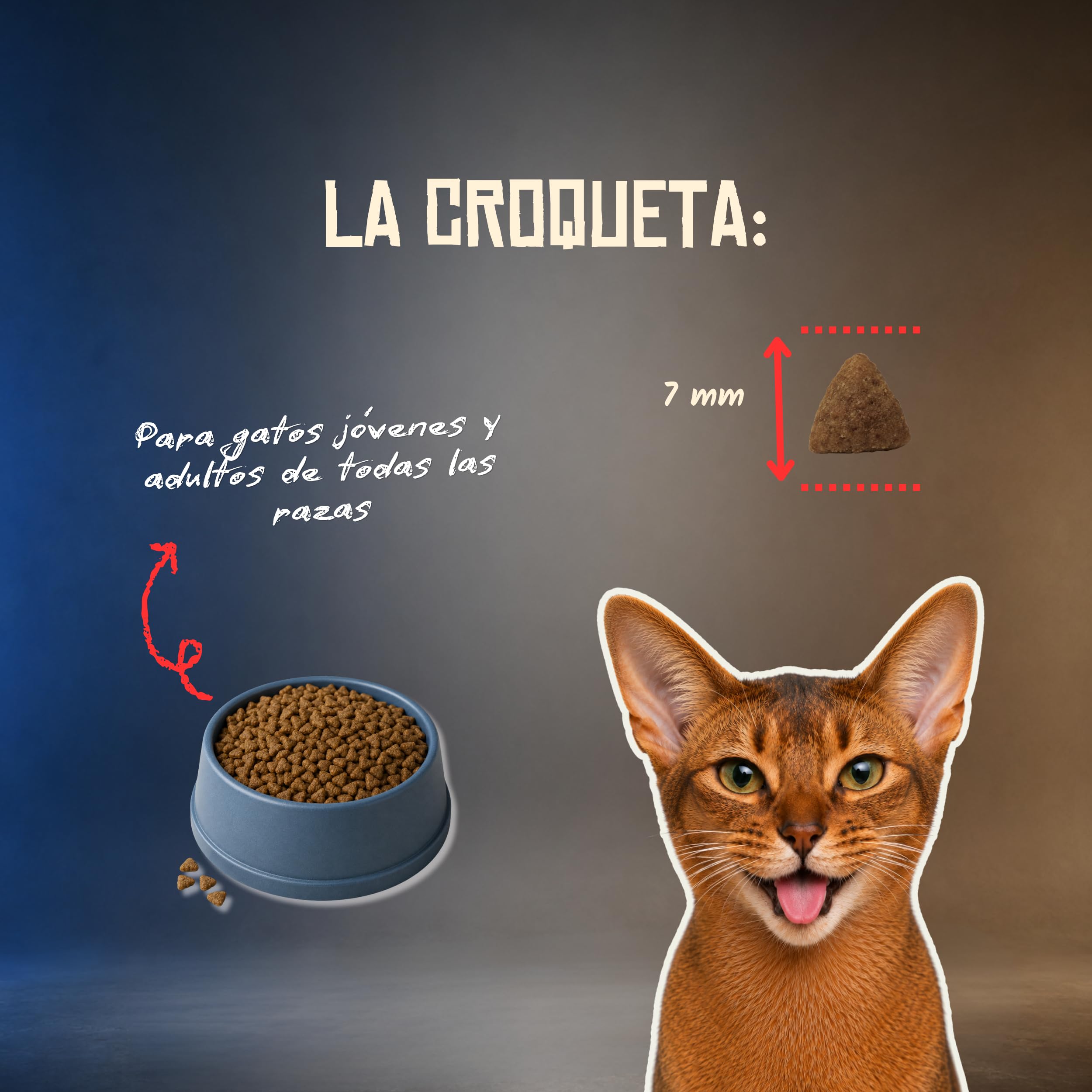 Lenda Grain Free Cerdo 5kg - Pienso Hipoalergenico Monoproteico para Gatos Sin Cereales - Comida para Gato Sin Cereales Sin Ave con Probioticos y Omega 3 para Piel y Digestion - No Grain