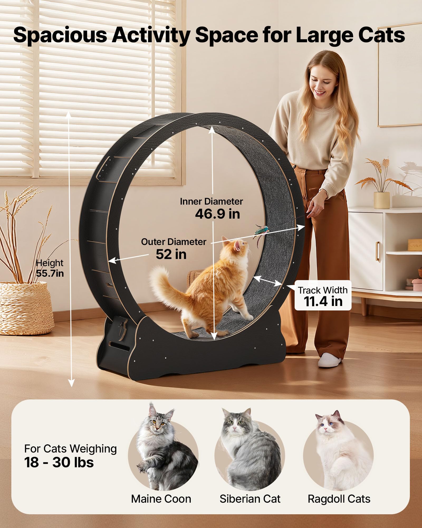VEVOR Ruota per Esercizi per Gatti, Ruota per Correre in Legno da 132 cm per Gattini da Interno Fino a 12,7 kg, con Pista in Moquette e Meccanismo di Bloccaggio, per Animali Domestici, Fitness Nero