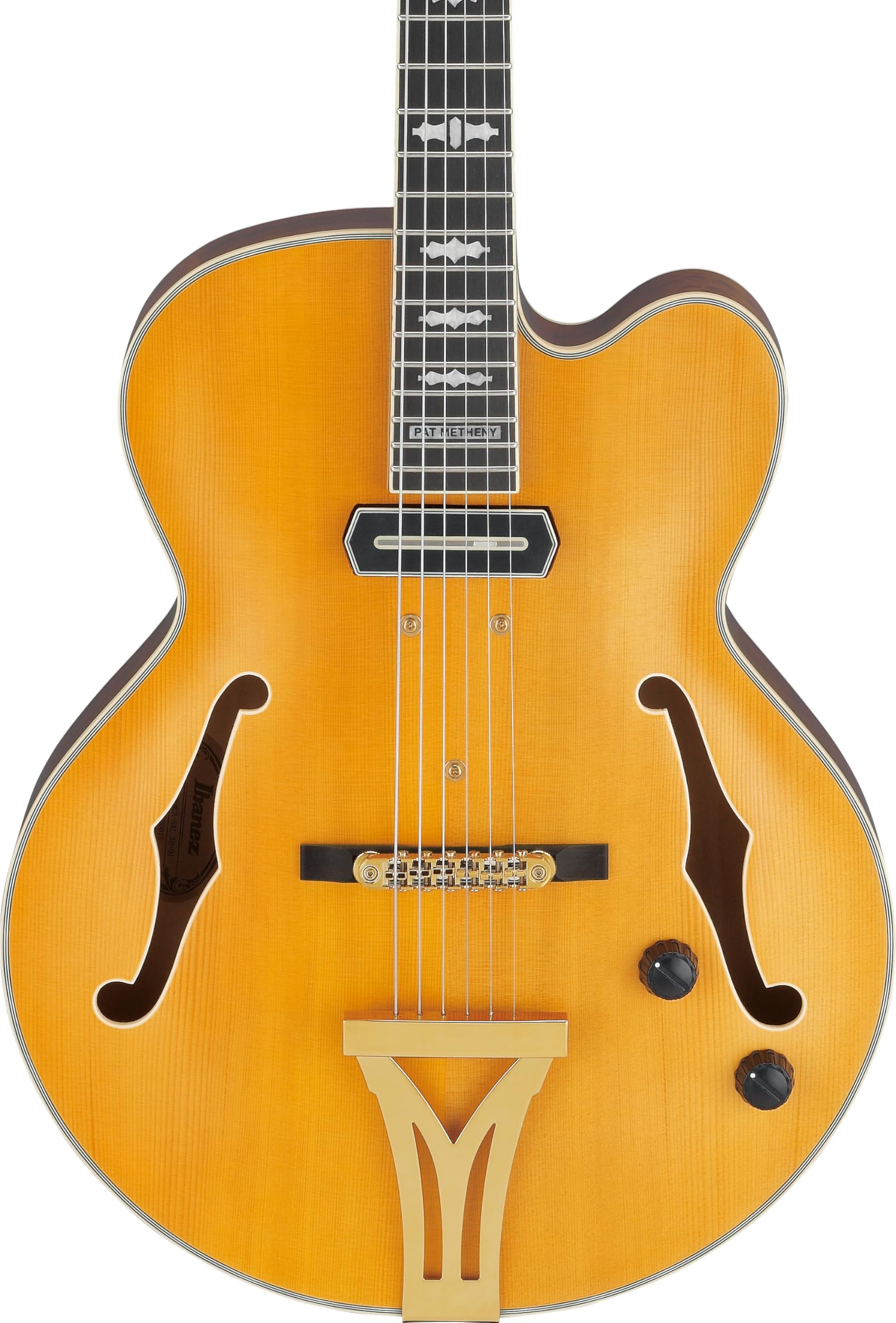 Amazon.com: Ibanez PM3C Pat Metheny Signature Hollowbody Electric