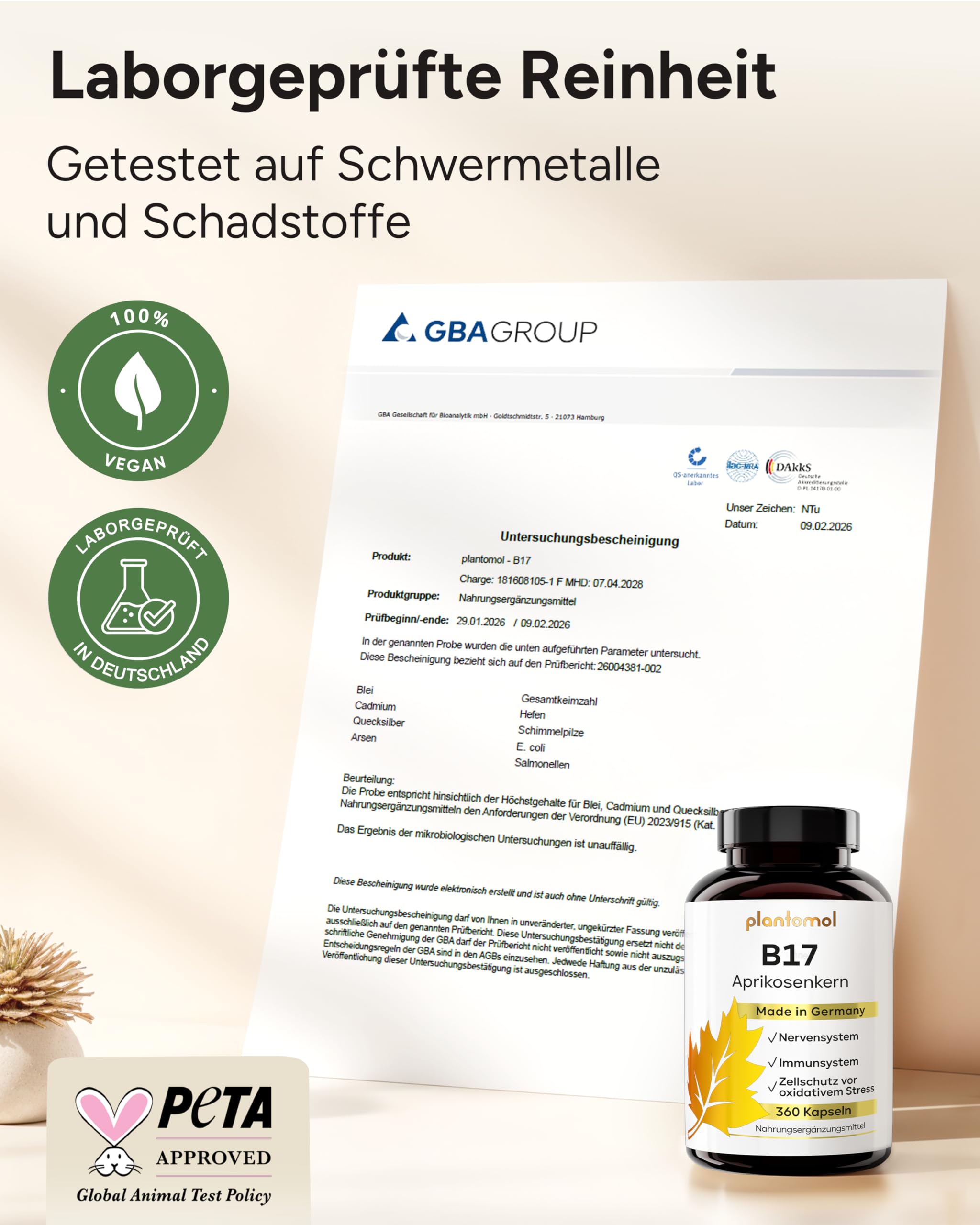 360 Aprikosenkerne Kapseln mit 1100mg Aprikosenkern-Extrakt pro Tag (2 Kapseln) - enthält natürlicherweise unstandardisiertes Vitamin B17 + pflanzliches Vitamin C aus Hagebutte - 6 Monatsvorrat