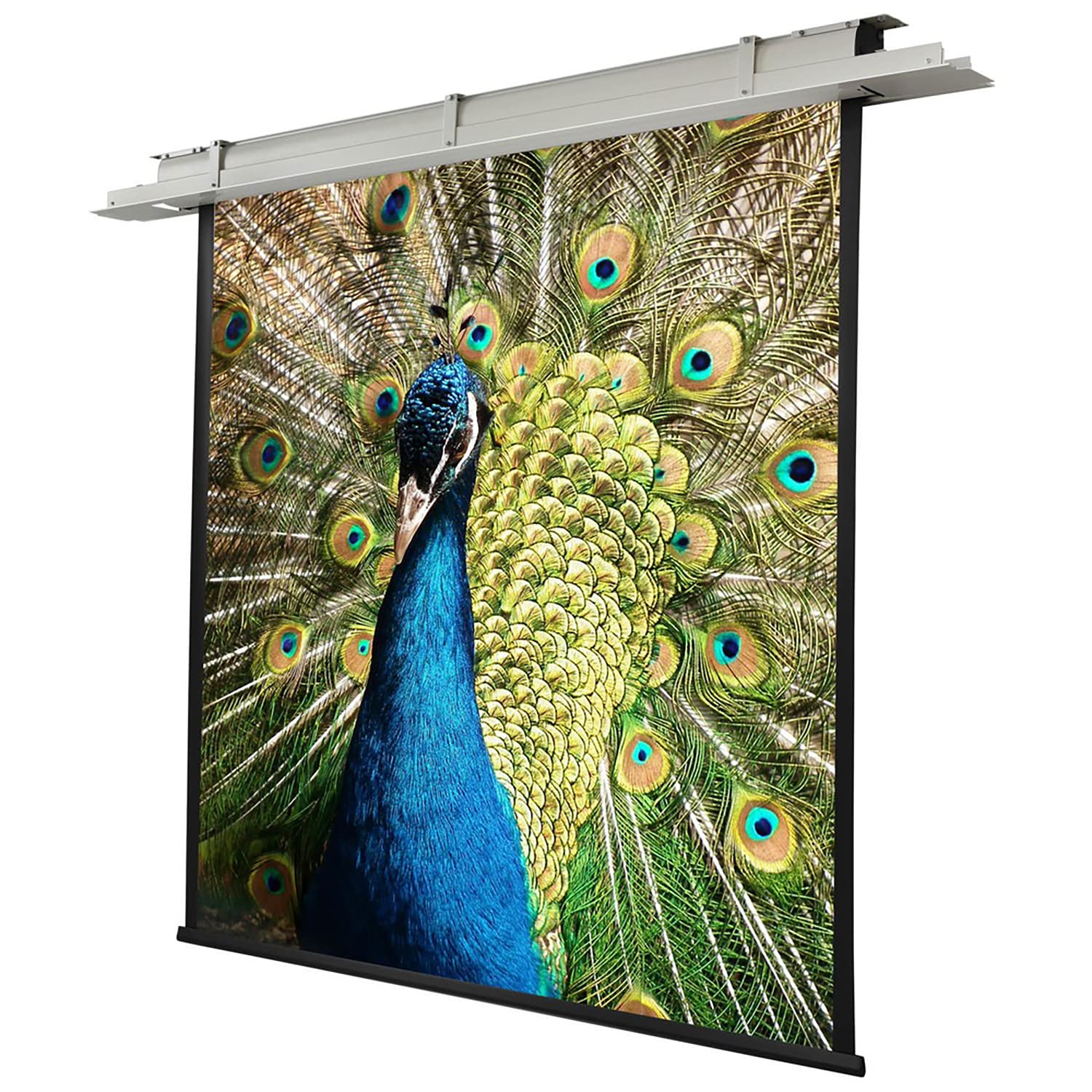 celexon motorisierte Heimkino- und Business-Beamer-Leinwand mit Diffuser Oberfläche Deckeneinbau Motor Expert bis 4K- 160 x 160 cm - 1:1 - Gain 1,2