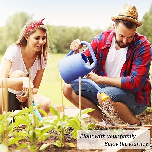 Miniatura 3 de Kit de 10 unidades sin OMG que crecen en tomillo, lavanda, manzanilla, eneldo, cebollino, cilantro, romero, albahaca, perejil, salvia para