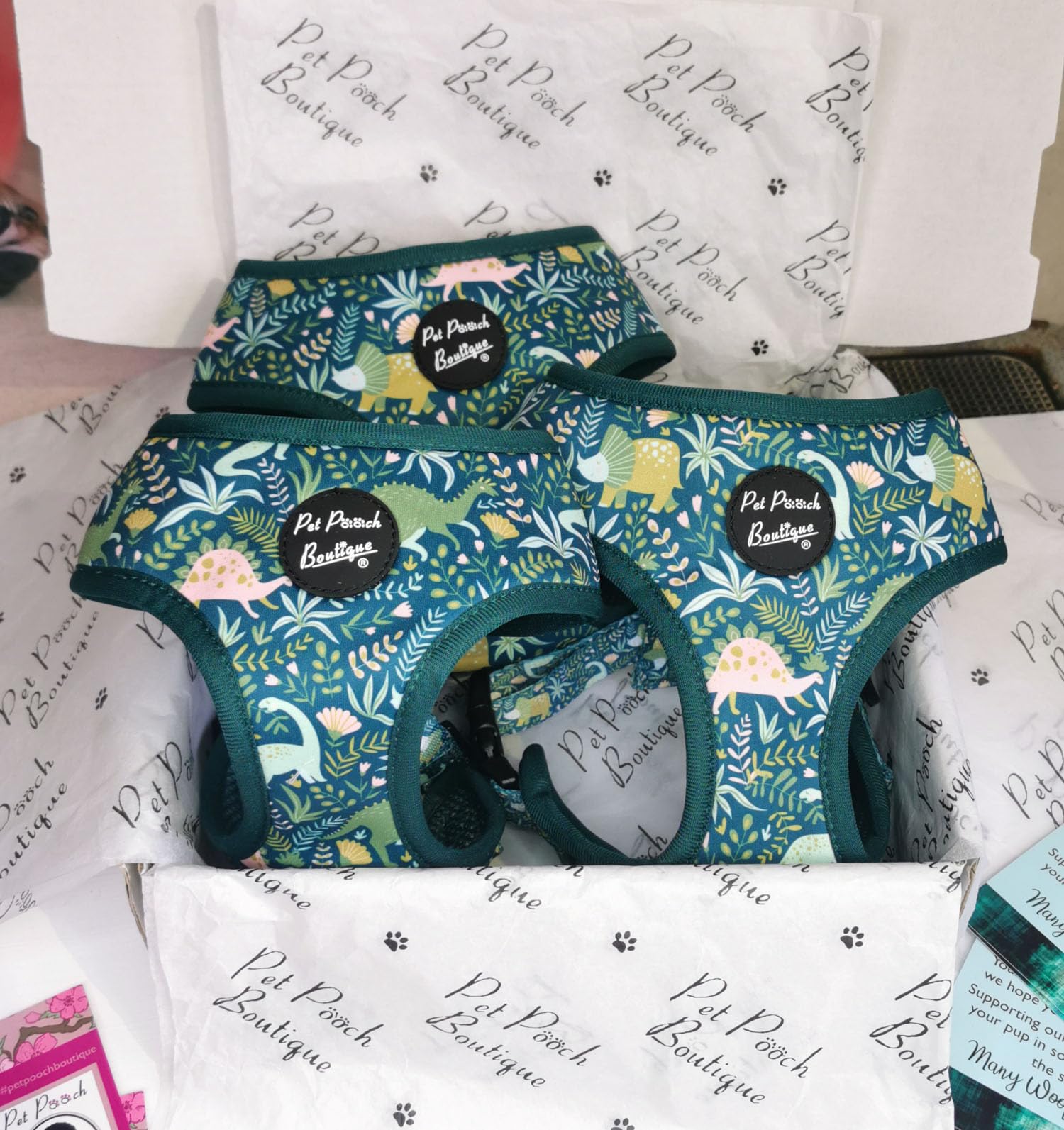 Dino Rawr Dog Harness XS