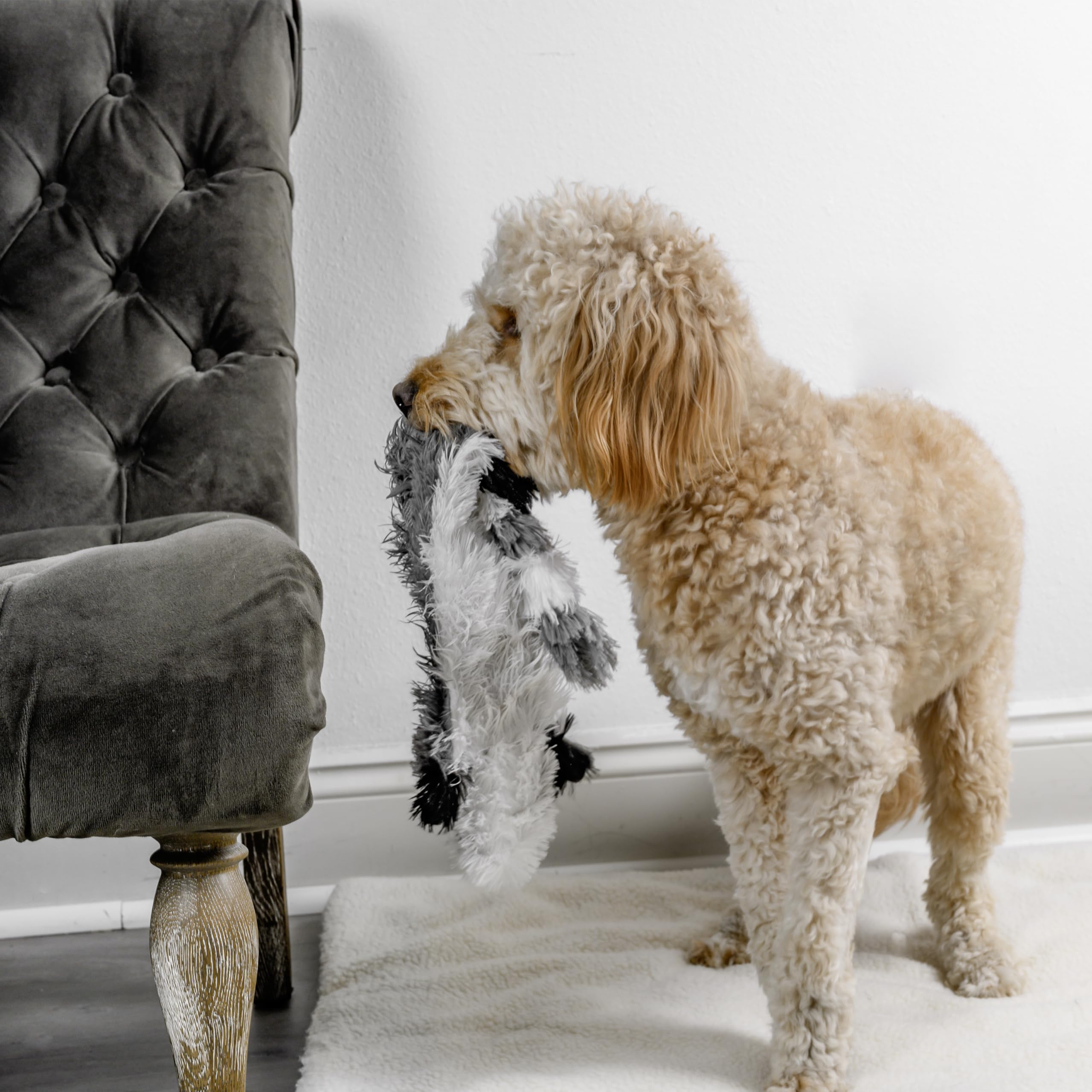 FGA MARKETPLACE Plüsch-Hundespielzeug, ohne Füllung, kein Quietschen, lustiger Stil, wird dein Haustier stundenlang unterhalten, empfohlen für kleine und mittelgroße Hunde, 53,3 cm lang, Waschbär