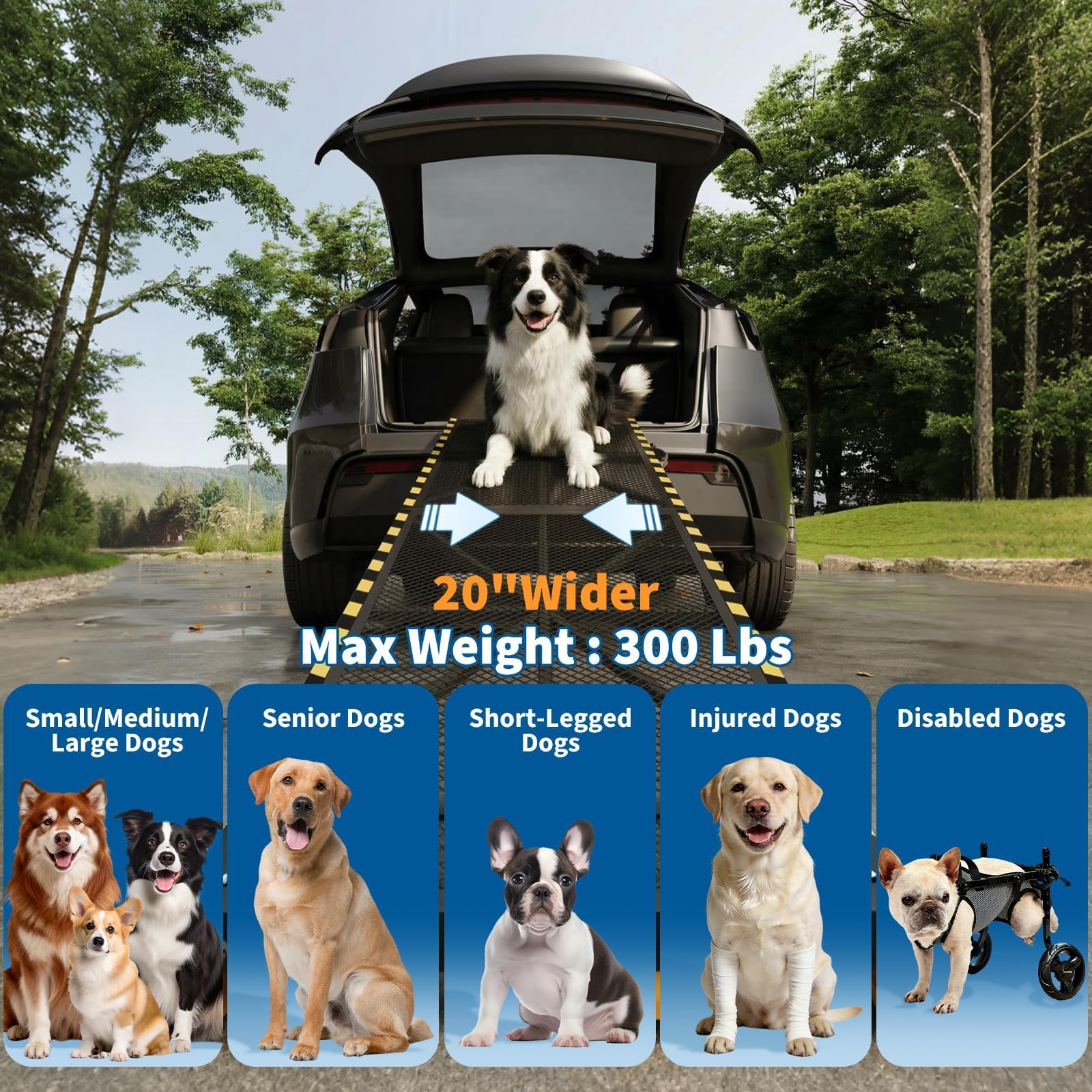 Garvee Rampa Perros Coche 180cm, Plegable Tubo Acero, Antideslizante, Negro | Rampa perros coche plegable 180 x 50 cm, tubo acero resistente antideslizante, para SUV y maletero, negro