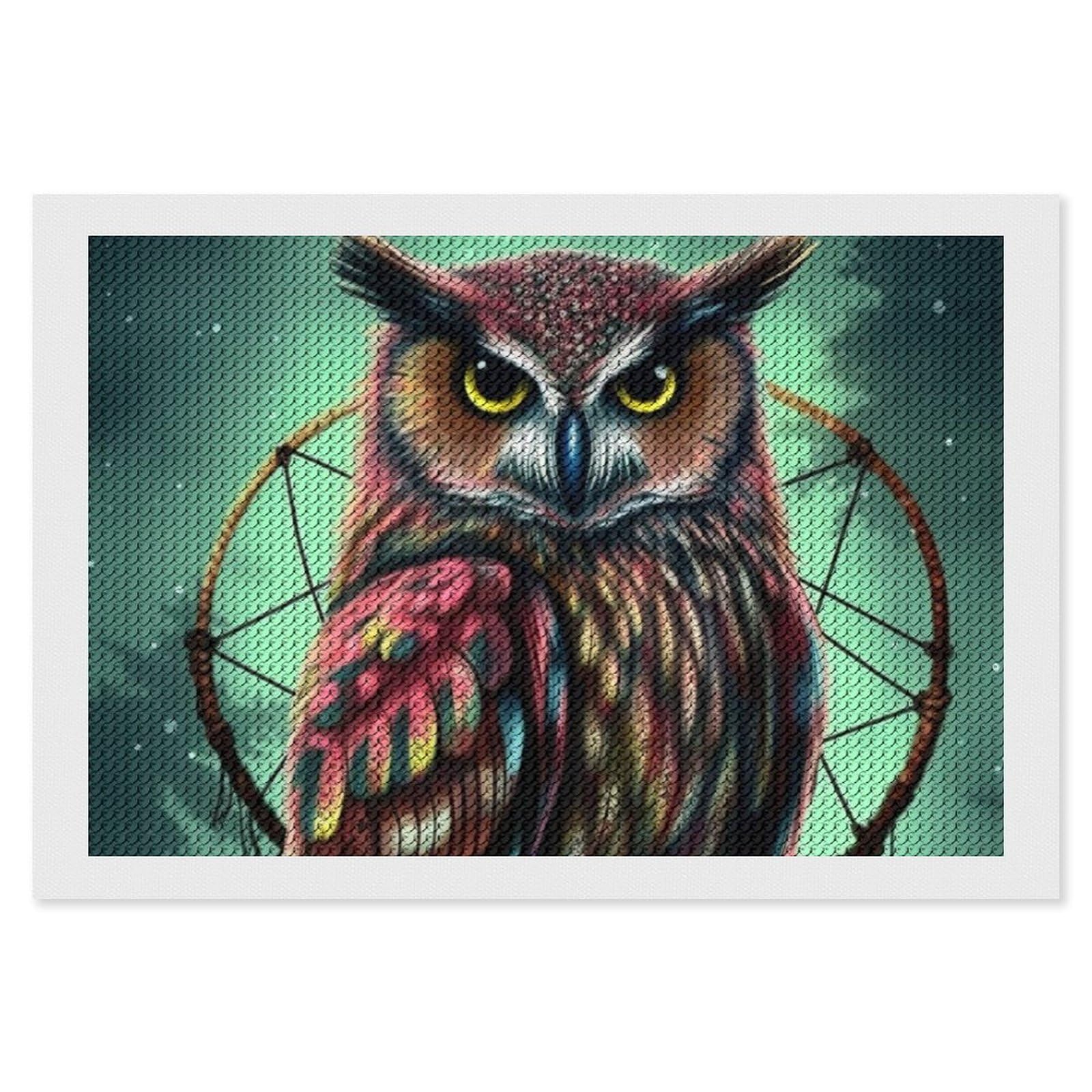 Owl Diamond Art Kits for Adults, DIY 5D Diamonds Painting Kits for Beginner, Round Full Drill Diamond Dots Painting, 8"x12" Diamonds Pictures Gem Art and Crafts Wall Decor