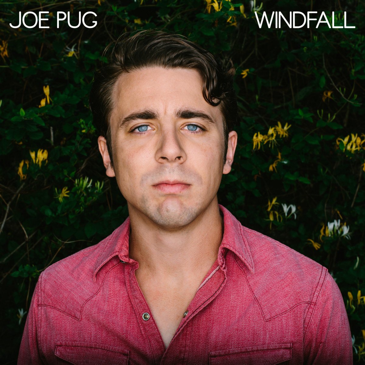Windfall [VINYL]