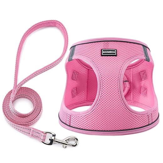 BOOMIBOO Dog Harness with Leash Set, No Pull Adjustable Reflective Step-in Puppy Pet Vest Harnesses for Small Medium Large Dogs and Cats,Pink XXS
