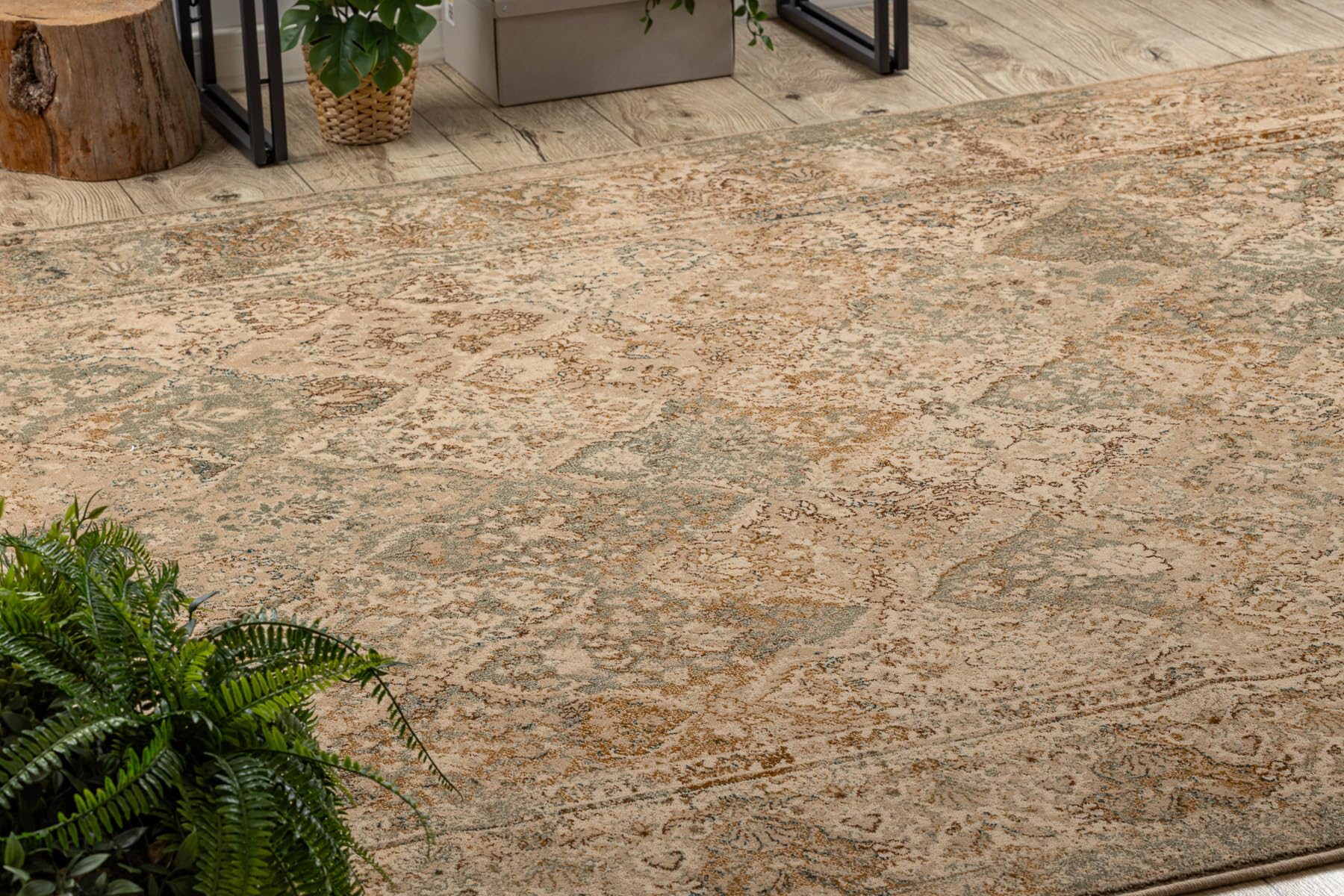 rugsx Wollteppich Omega für Wohnzimmer Schlafzimmer Beige 200x300 cm