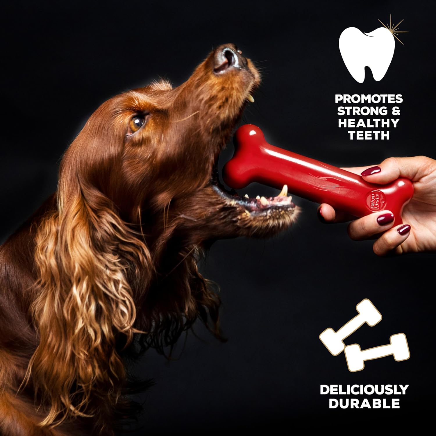 Tastybone Beef, Large