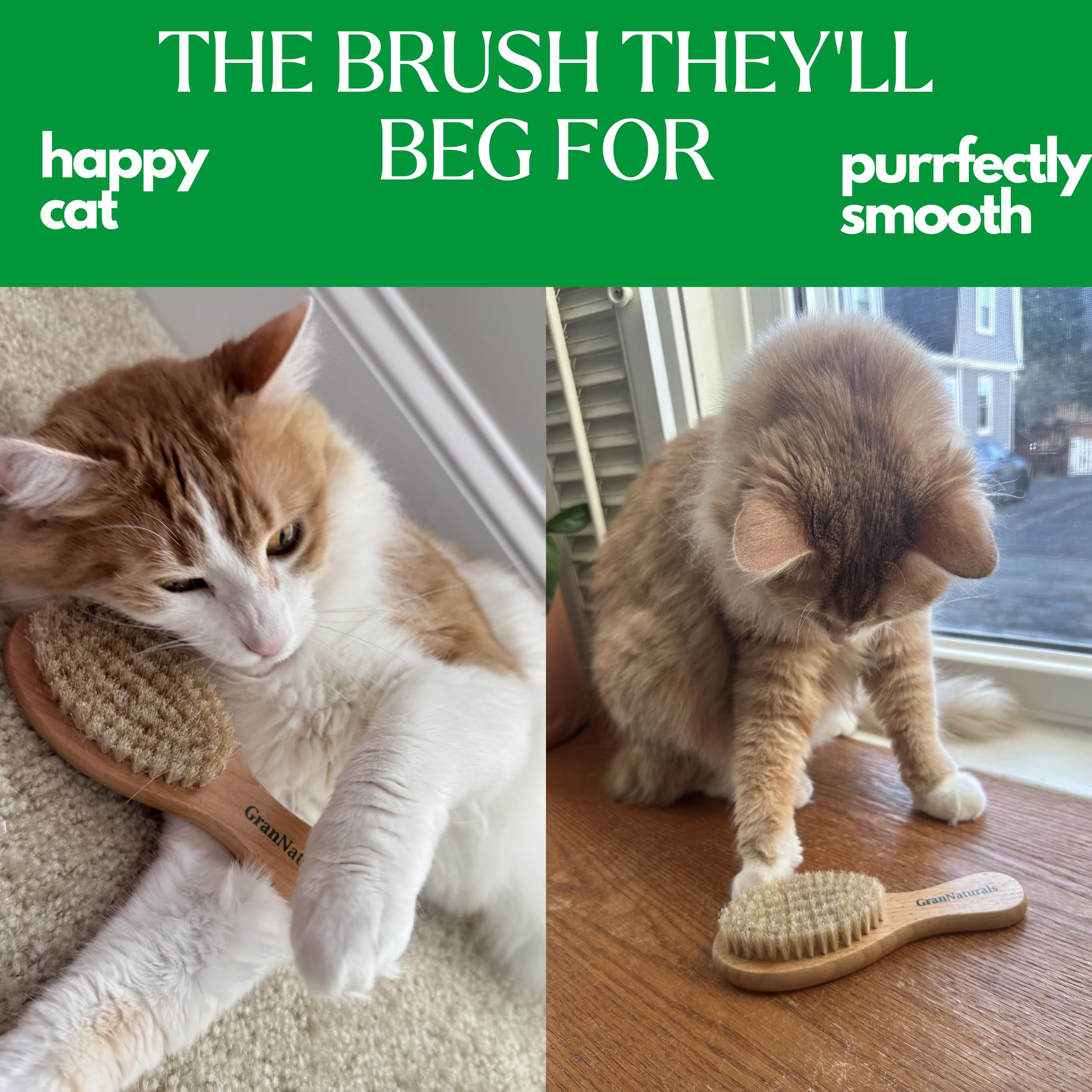 GranNaturals Cepillo suave de cerdas de jabalí para gatos para interiores, exteriores, gatos de pelo corto, gatitos, perros pequeños, conejos, mascotas peludas, aseo suave en pelaje y cola sensibles