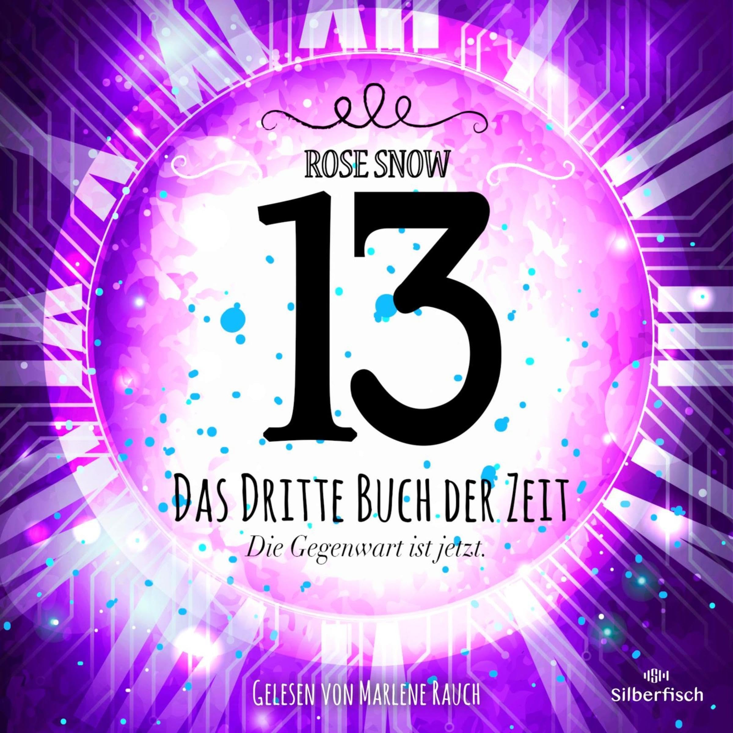 Cover art for 13 - Das dritte Buch der Zeit