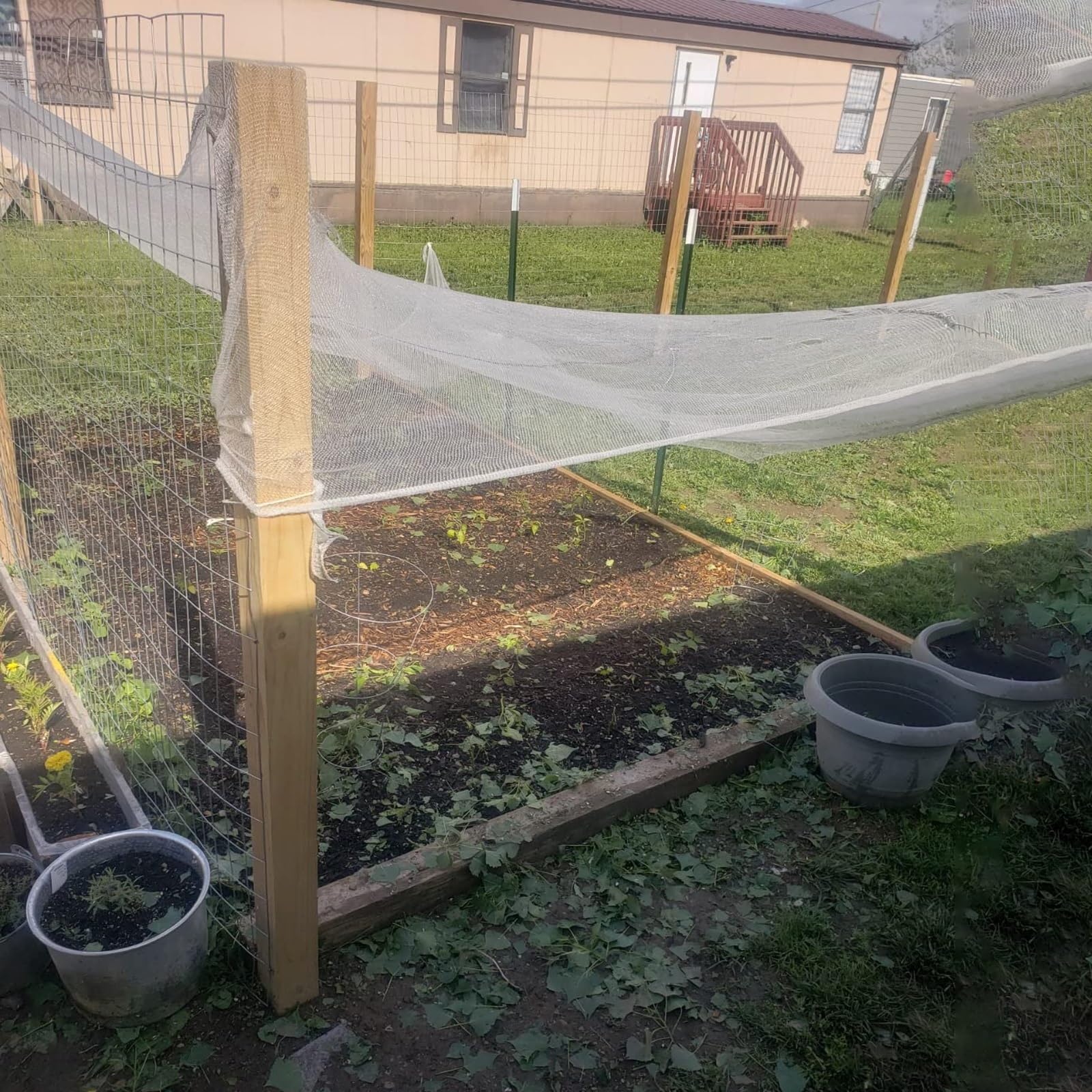 Malla Antigranizo para Plantas de Jardín, Red Fina 5 mm Anti-Granizo para Huerto, Proteger contra el Granizo los Cultivos, Cortable, Reutilizable(1x50m)