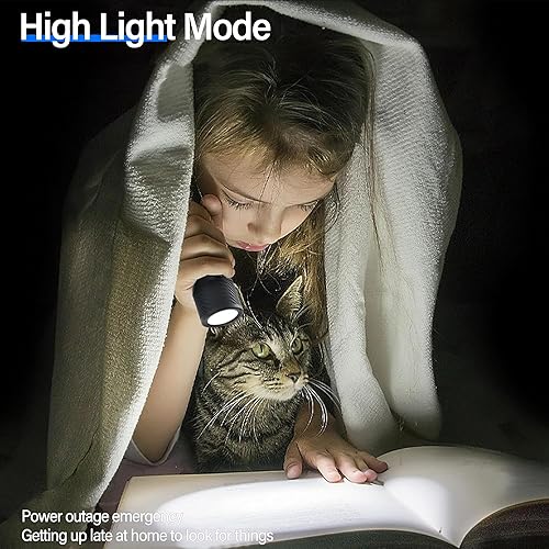 Miniatura 5 de PHILIPS SFL1183 - Linterna táctica brillante de 400 lúmenes con 6 modos, linternas LED recargables, 2000 mAh, impermeable, luz de flash de mano para