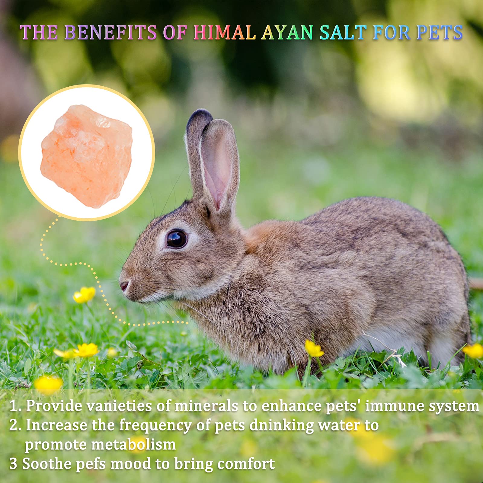 Are Salt Licks Good For Dogs