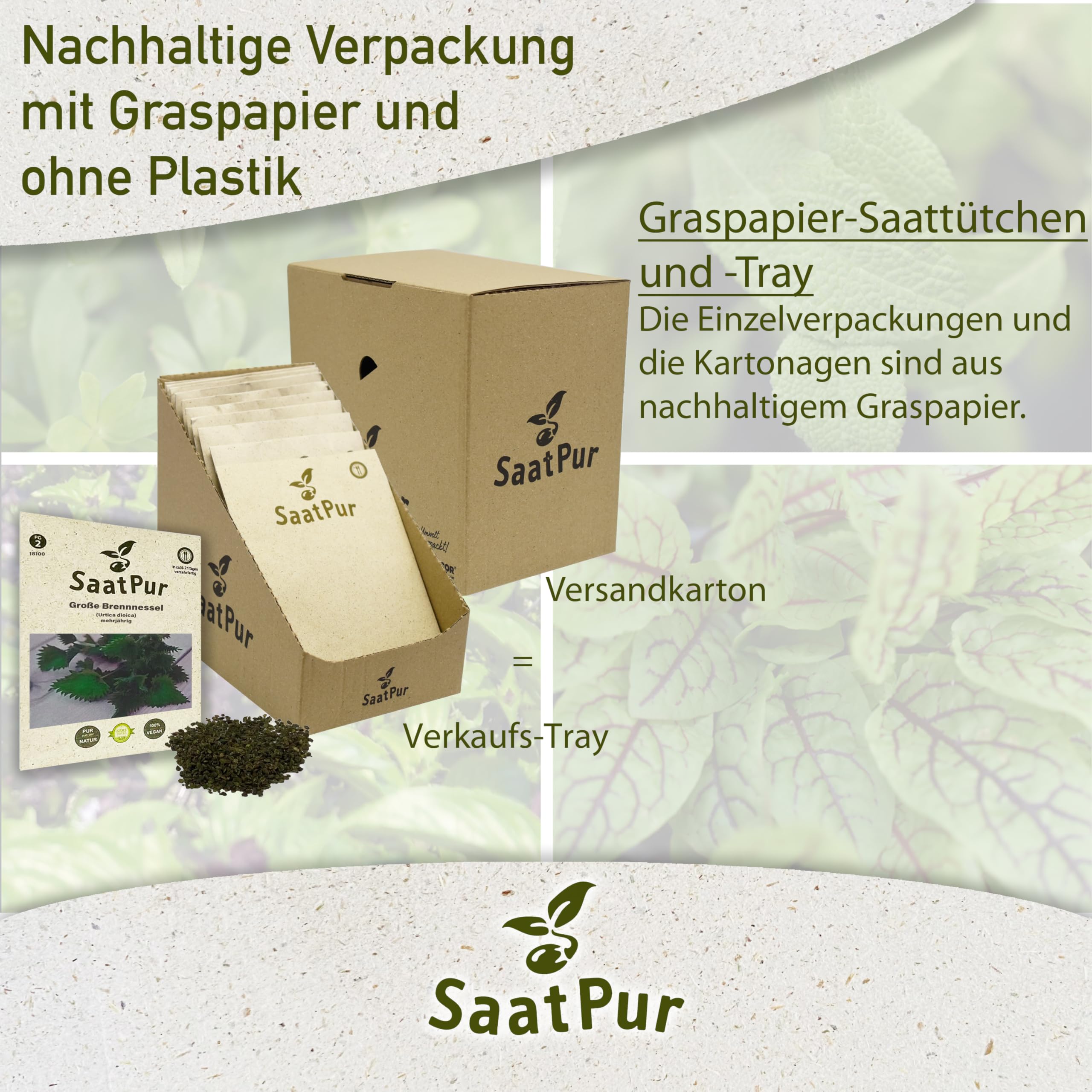 Saatpur Samen Große Brennnessel - Kleines Tray mit 25 Portionstüten für je ca. 1000 Pflanzen