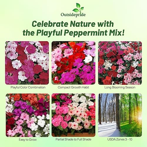 Miniatura 2 de Outsidepride Impatiens - Plantas de flores de jardín con sombra de menta para macetas, cestas colgantes, contenedores, cajas de ventana, 200 semillas