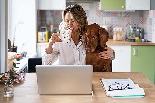 Miniatura 4 de K-Kraft Dog Paws - Taza de café de cerámica navideña de 12 onzas en caja de regalo