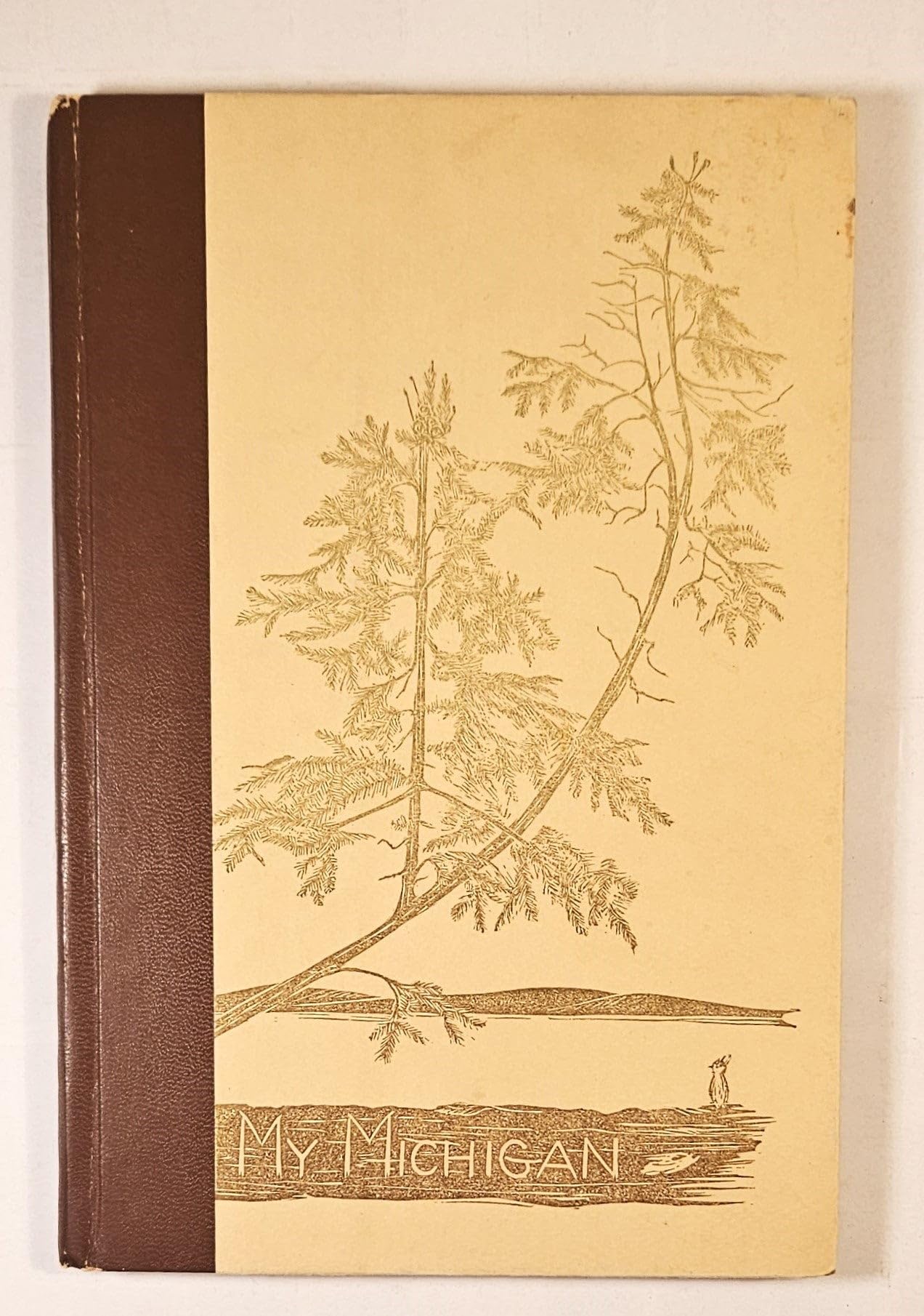 my Michigan 本 Amazon.co.jp: My Michigan : 本