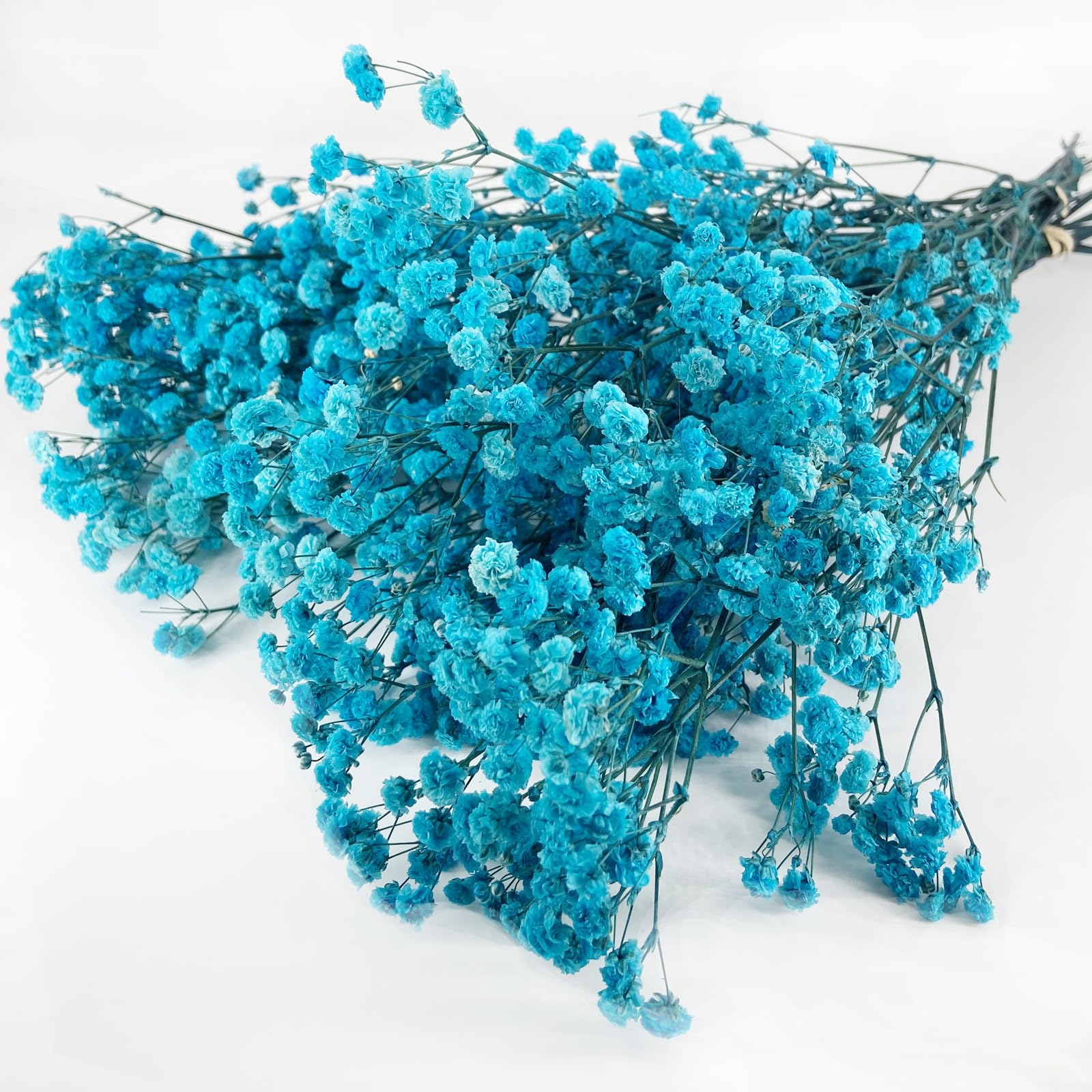 Birtlynn Preserved Baby's Breath, 100% Natrual Gypsophila Long Lasting Flowers for Vase Arrangements Home Decoration Photo Props Parties and Weddings,