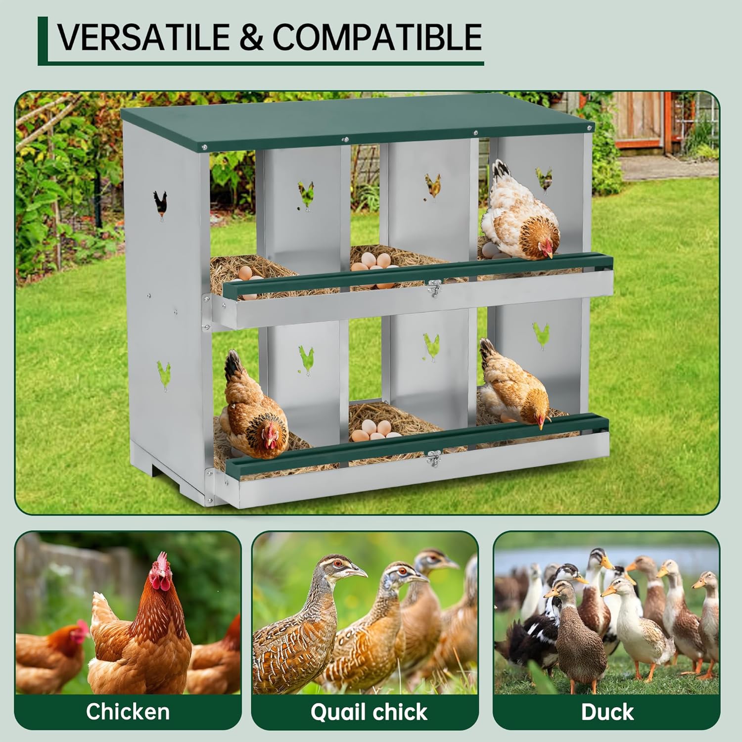 Nesting box with egg collection device and flexible perch design