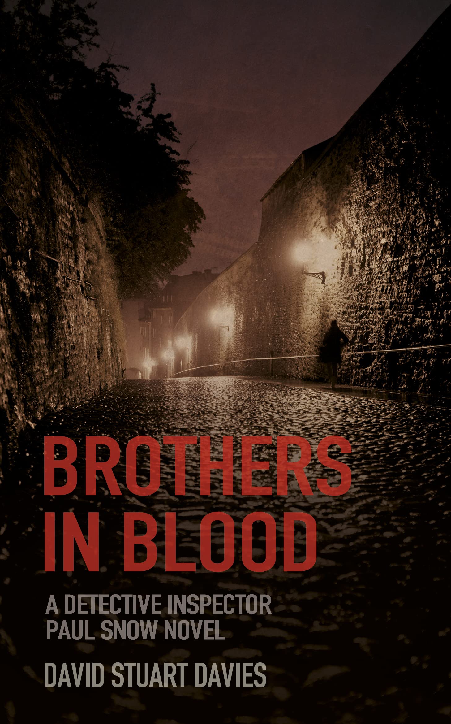 Brothers in Blood: A Detective Inspector Paul Snow Novel 1