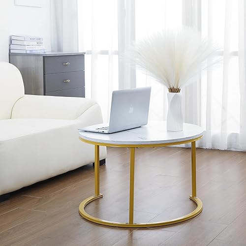 Miniatura 4 de 30 piezas de hierba de pampa blanca de 22 pulgadas, decoración de hierba de pampa sintética corta para decoración bohemia del hogar, boda, día de la