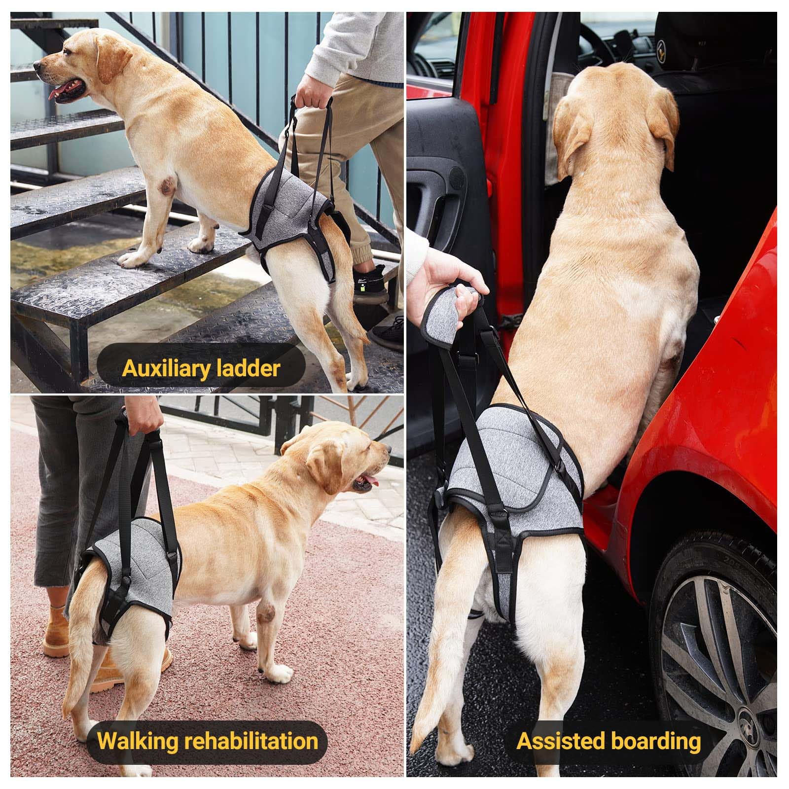 Imbracatura per Dog, Redipet per Cani, Tutore Zampa Posteriore Cane, Fascia per Sollevare Cani, Imbracatura per Dog, Harness Cane Zampe Posteriori, Disabili e Disabili. (S)