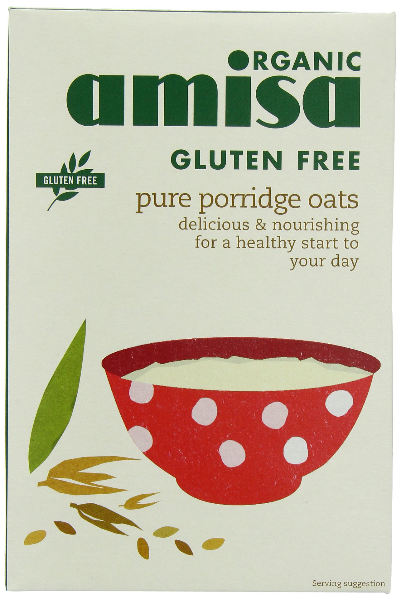 AMISA /HILDEGARD Organiczna bezglutenowa czysta owsianka owsianka 325 g (opakowanie 1)