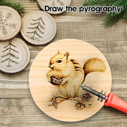 Miniatura 4 de Paquete de 4 placas redondas de madera de 8 pulgadas, placa circular de madera sin terminar de 34 pulgadas de grosor, base de posavasos de madera de