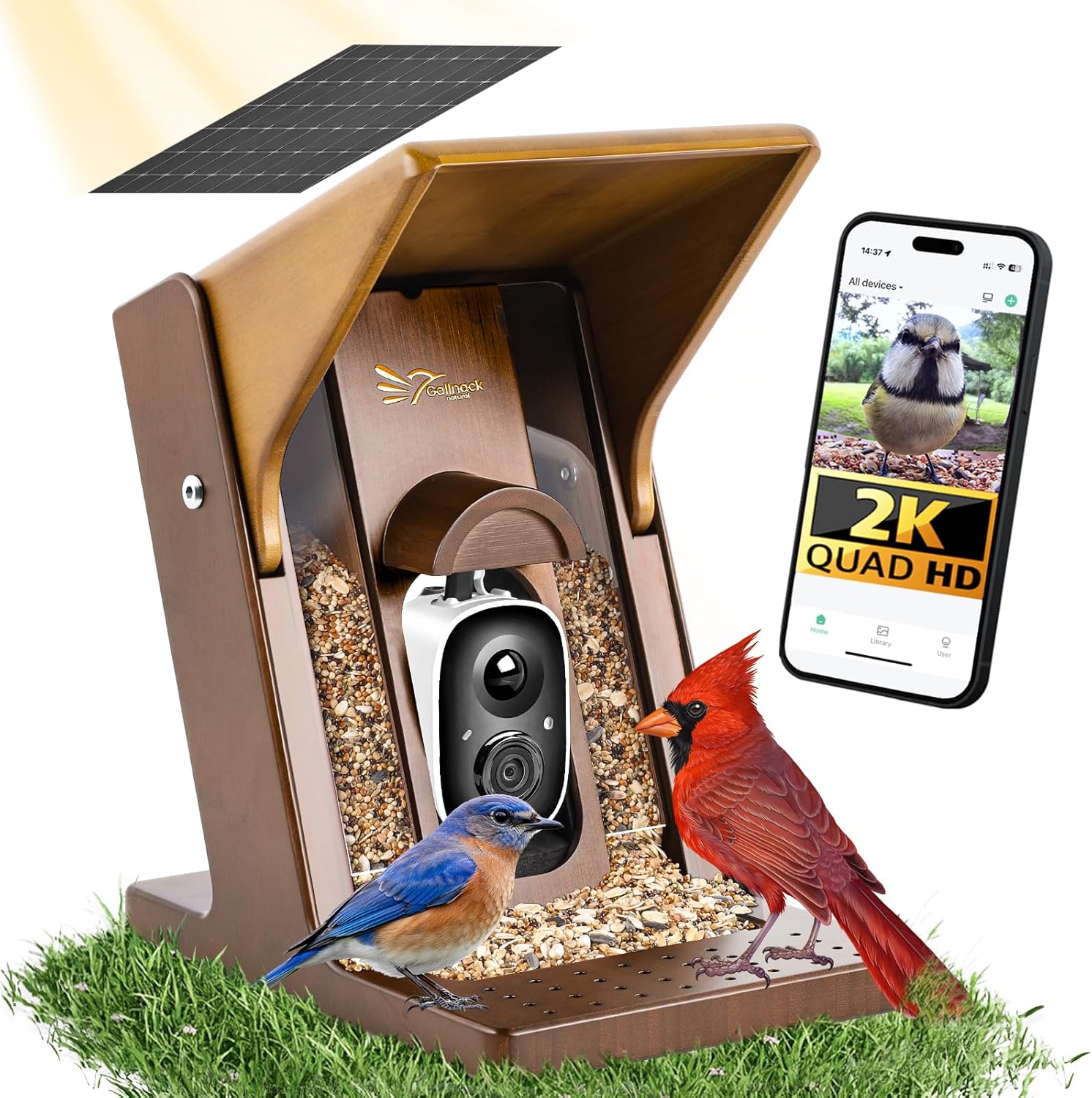Smart Bird Feeder with Camera Solar Powered - Biomimetic Design, 2K Video, AI Identify Species & Instant Arrival Alerts, Weatherproof, Night Vision, App Sharing, Gift for Family & Bird Lovers