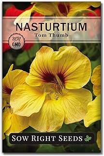 Sow Right Seeds - Tom Thumb Nasturtium Seeds to Plant - Full Instructions for Planting and Growing a Beautiful Flower Gard...