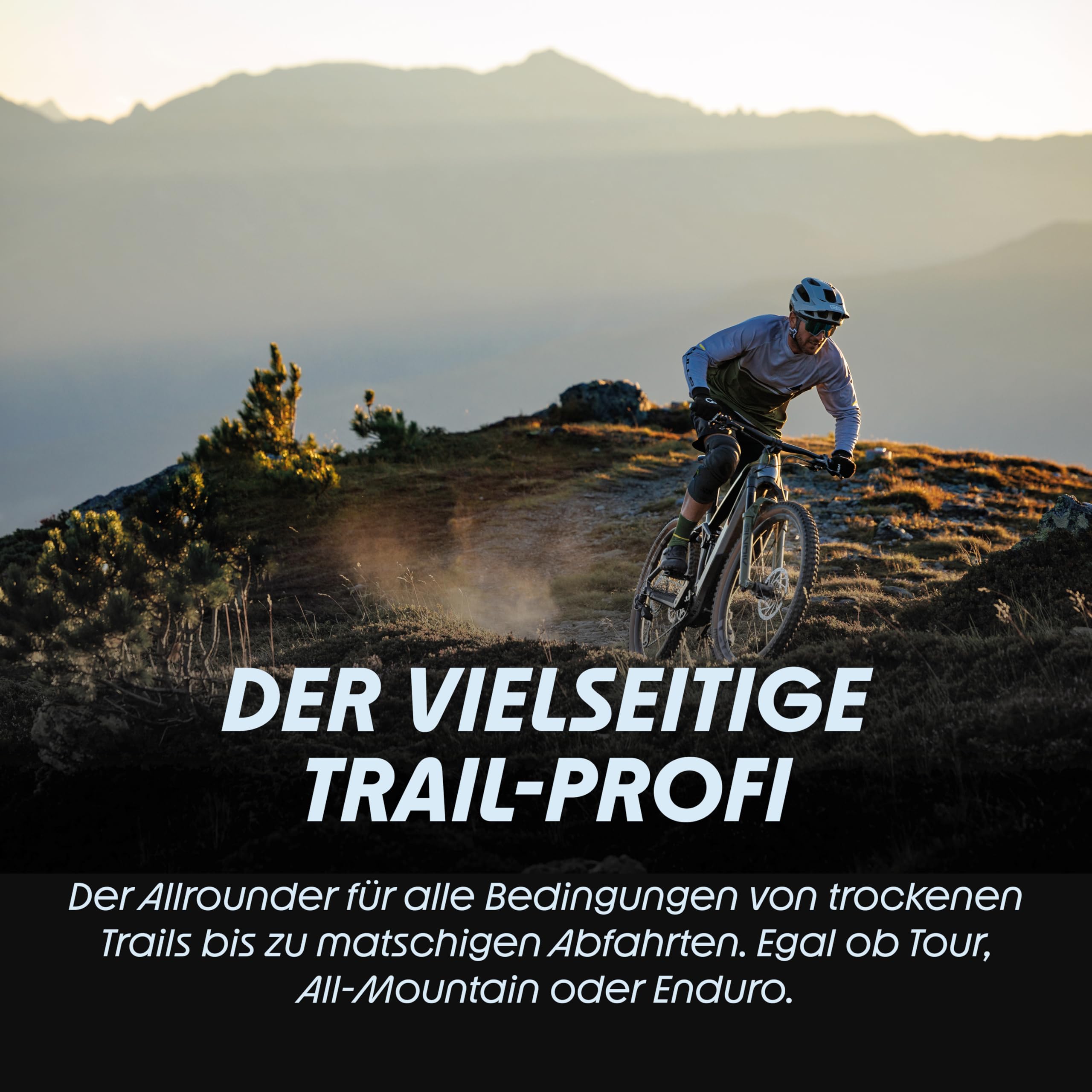 Schwalbe Nobby NIC MTB Fahrradreifen – 26“, 27“, 29“ Zoll – Addix Gummimischung – ideal für Mountainbike, Trail und Enduro – Schwalbe Reifen MTB