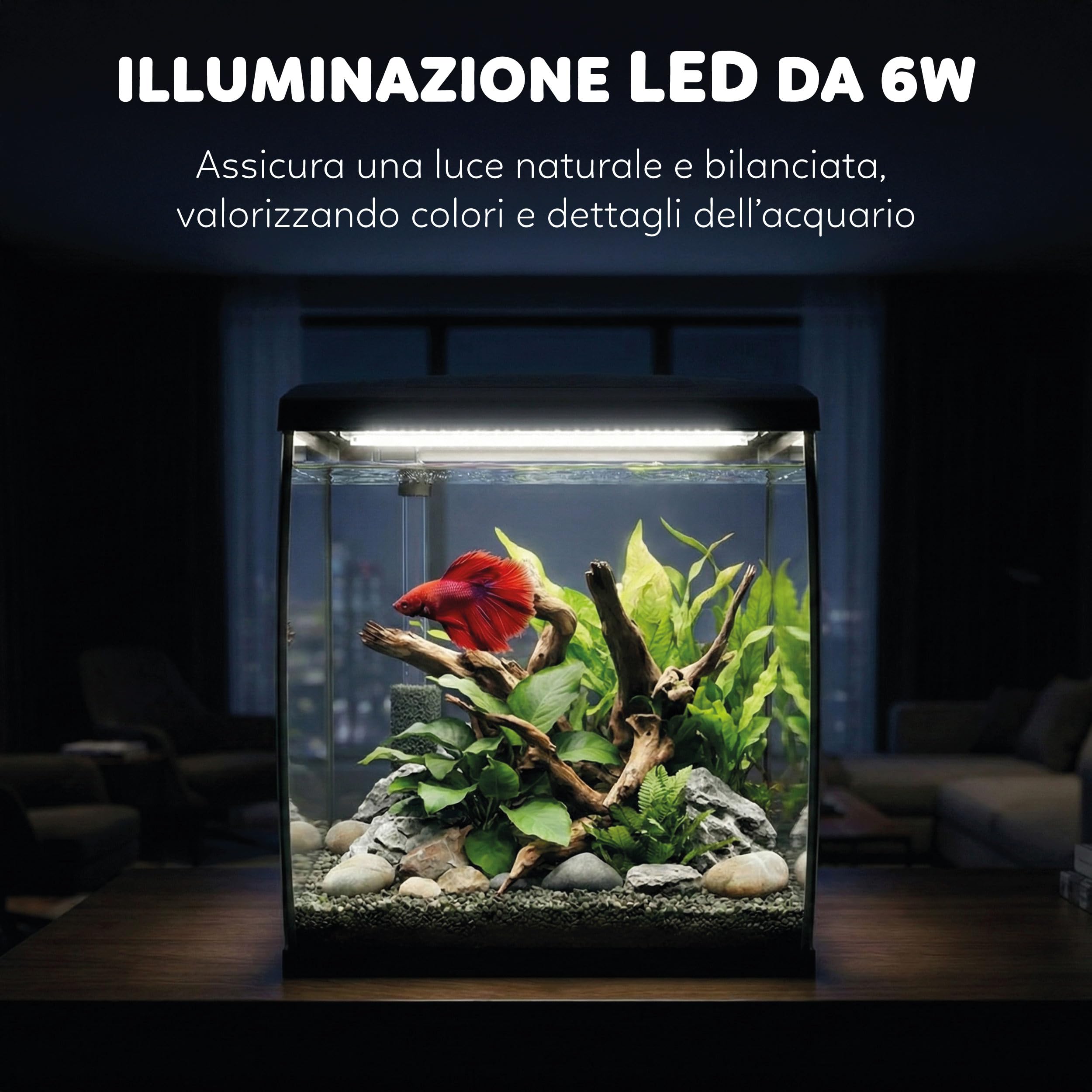 AQPET CurVe Acquario in Vetro Curvo 35L con Filtro Superiore Integrato e LED 6W – Acquario di Design da Scrivania con Pompa Inclusa e Coperchio per Distributore Automatico Mangime (Nero)