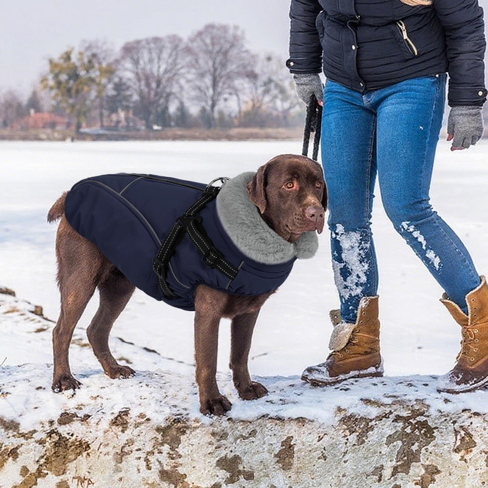 Manteau pour chiens de taille moyenne, veste de neige en polaire chaude réfléchissante pour animal de compagnie par temps froid, bleu foncé, taille M