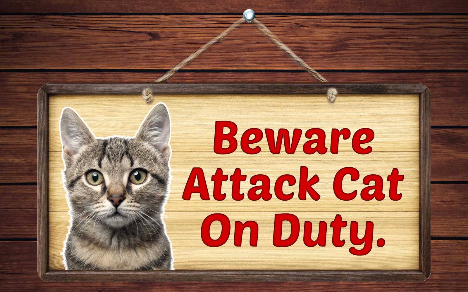 Warnschild 'Beware Guard Attack Cats On Duty' - Rostfreies Aluminium, 30,5x20,3 Cm | Für Innen & Außen