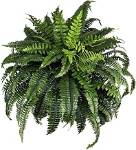 Elegant Boston Fern Shrub, 88 Artificial Plants, Suitable for Outdoor Office Decoration, Living Room and Terrace Used for Dining Table Center, Wedding Parties, and