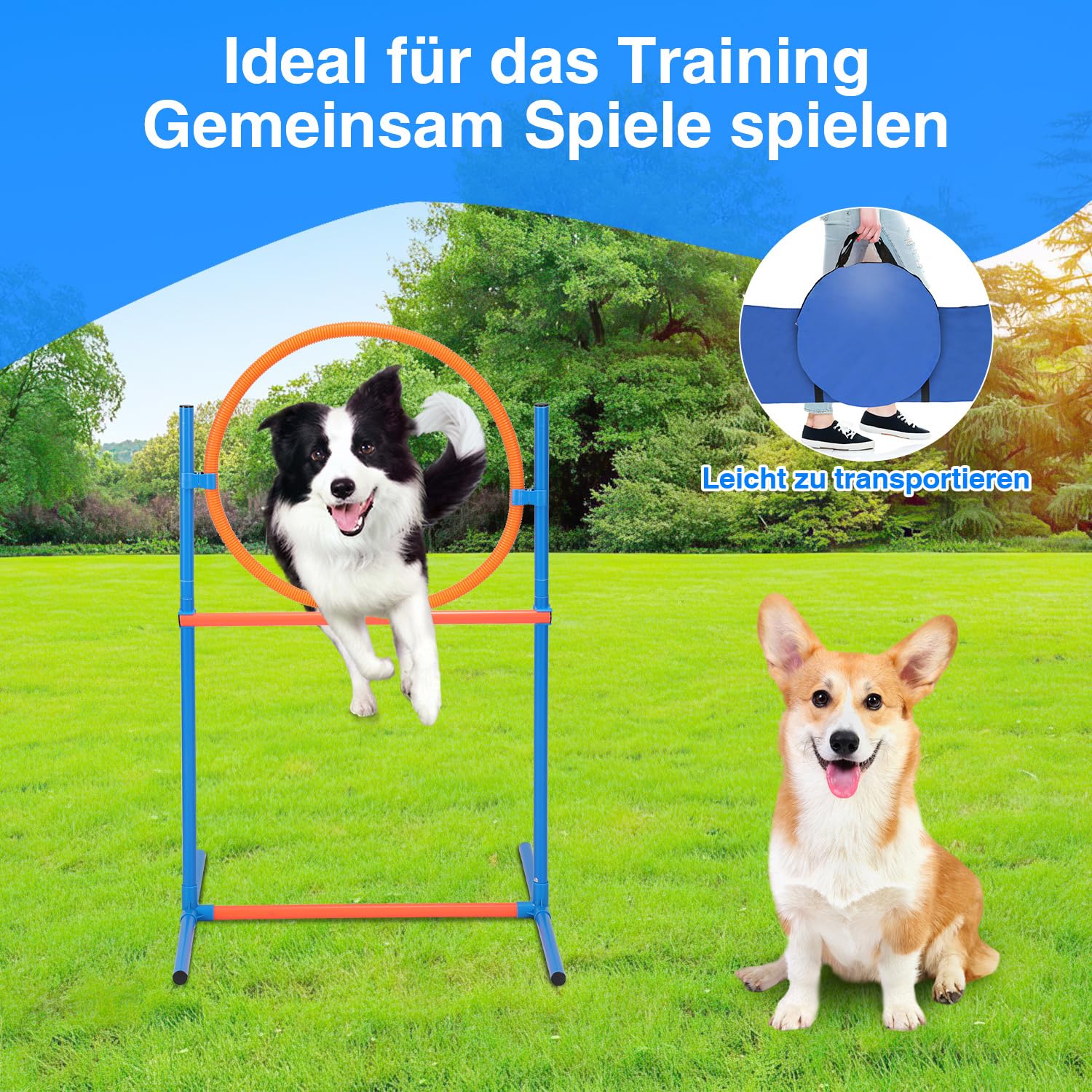 Agility Set Hunde, 5-teilig für Hundetraining & Freizeit | Zubehör umfasst Sprungring, Sprungstange, Tunnel, Slalomstangen, Pausenmarkierung, Ball, Pfeife und Transporttasche