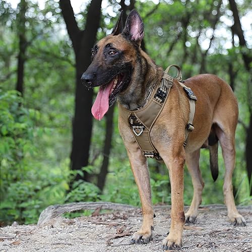 Miniatura 2 de ICEFANG Arnés de correa para perro con 4 hebillas de metal, para perro de tamaño grande, chaleco K9, pecho en forma de Y, arnés ajustable para