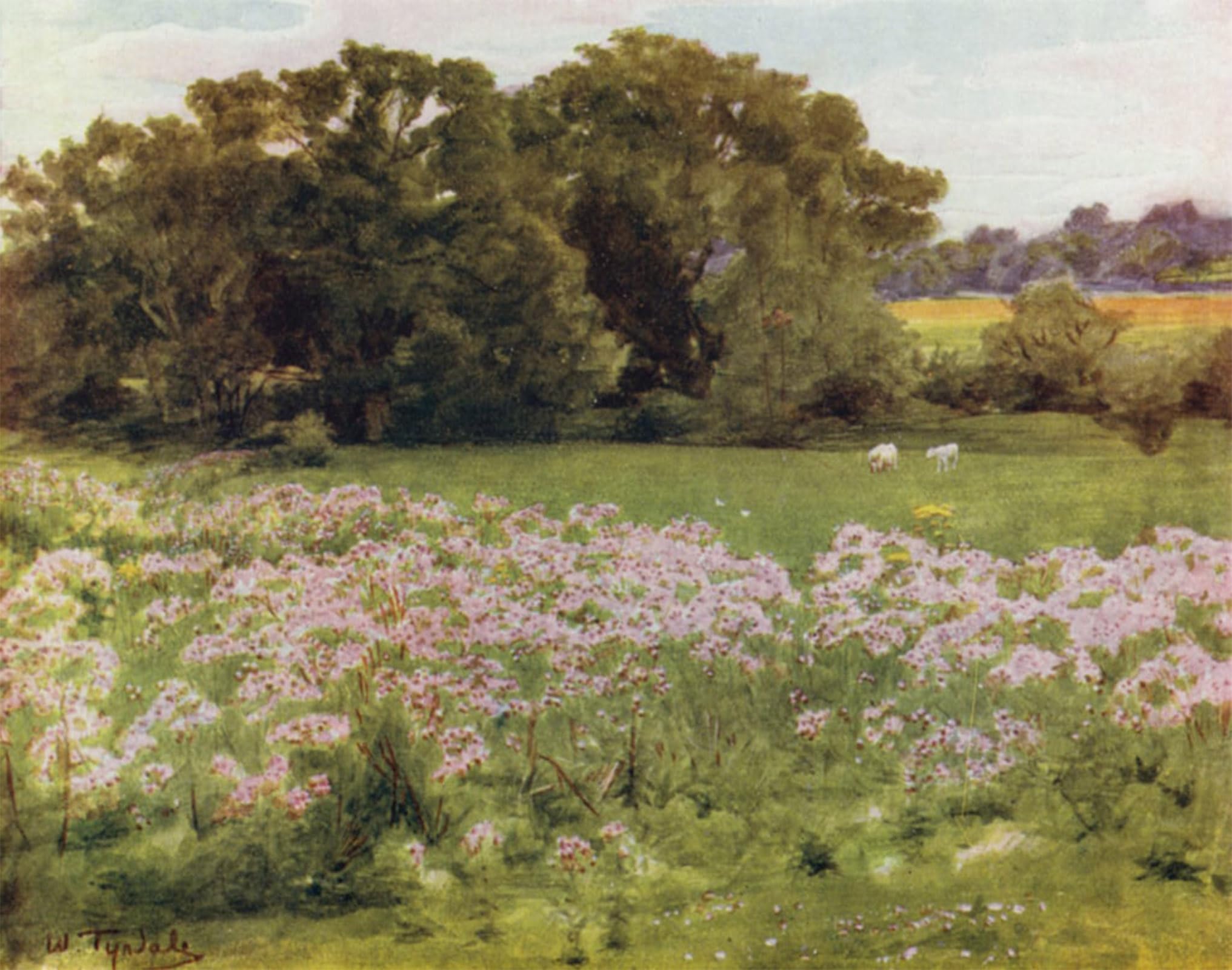Imagen de lienzo New Forest Riversdale de SERENDIPITP cuadro pintura mural 60x90cm 5