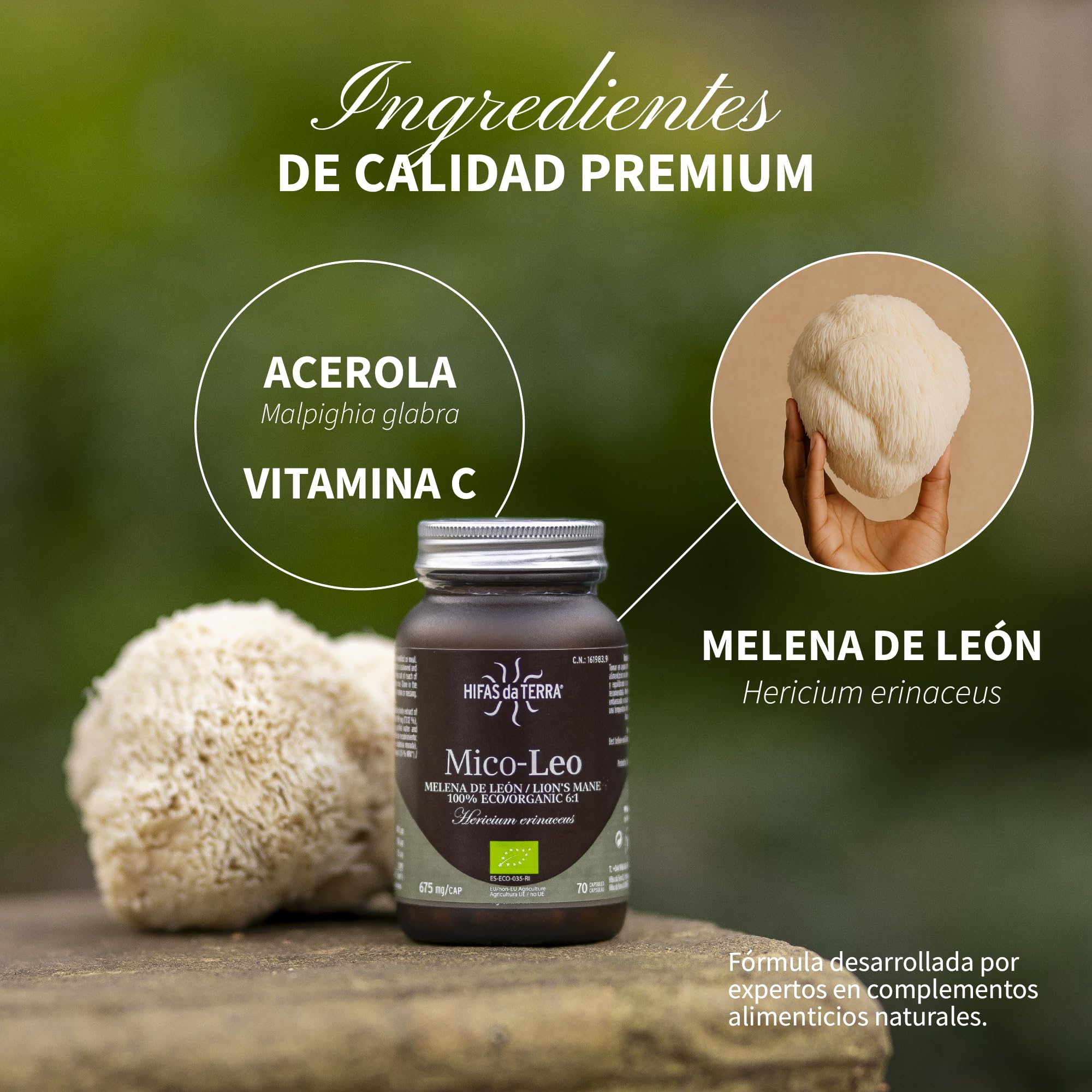 HIFAS DA TERRA - Mico-Leo Extracto Puro de Melena de León Hericium - Alta concentración de Beta-Glucanos y Vitamina C - Apoyo cognitivo, memoria, bienestar emocional e inmunitario - Refill 60 Cápsulas