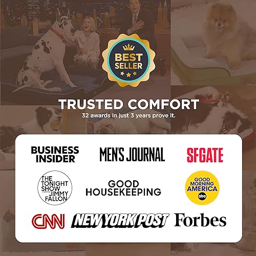Vista 55 de Bedsure - Cama ortopédica mediana para perros, sofá cama impermeable para perros medianos, espuma de soporte con funda extraíble y lavable, forro