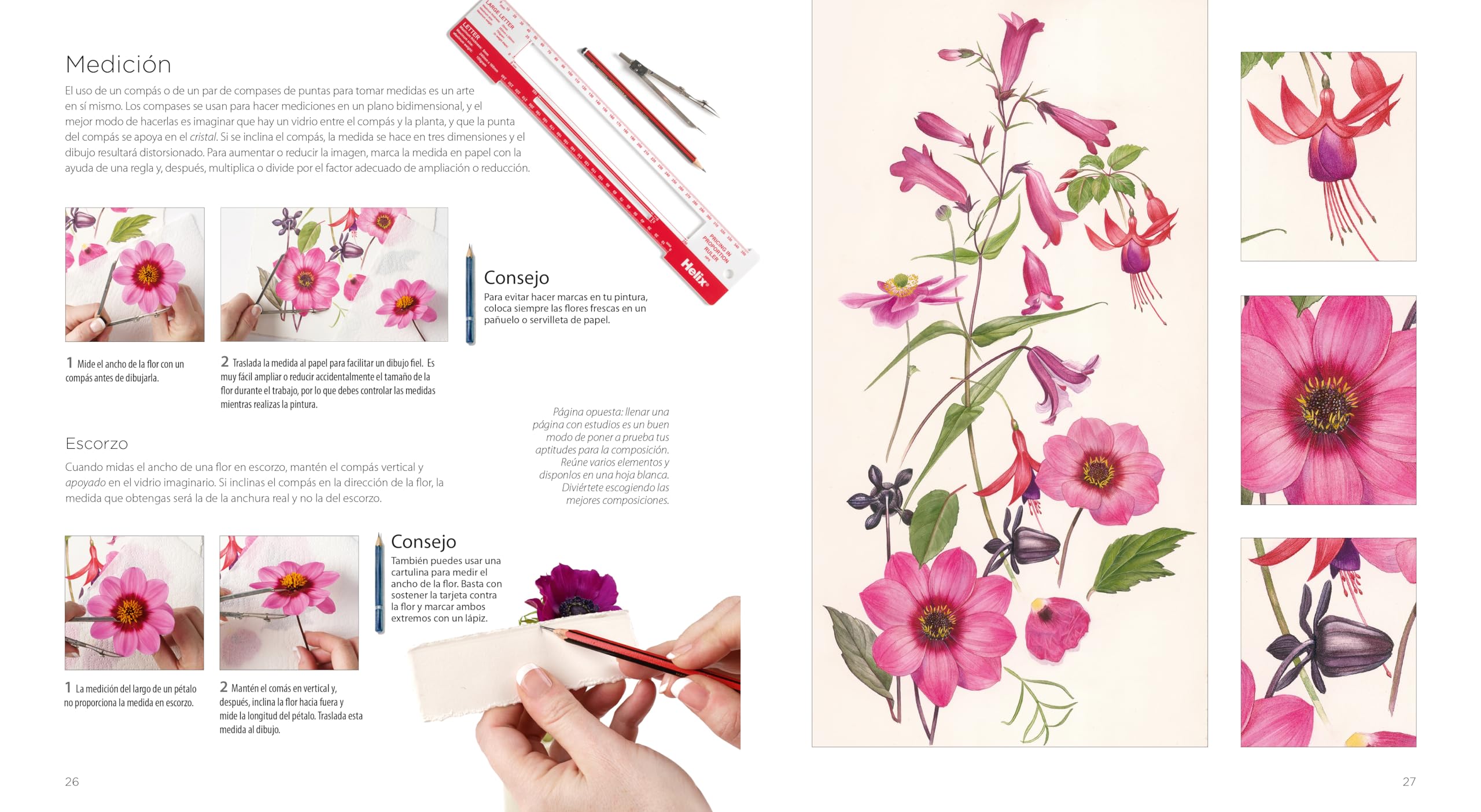 PINTURA BOTÁNICA: Aprende a pintar flores y plantas con acuarela