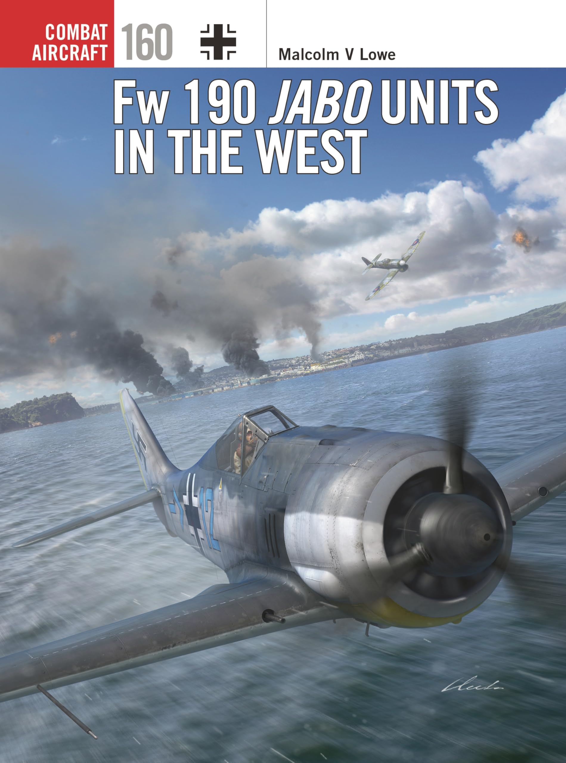 Fw 190 Jabo Units in the West: 160 (Combat Aircraft)