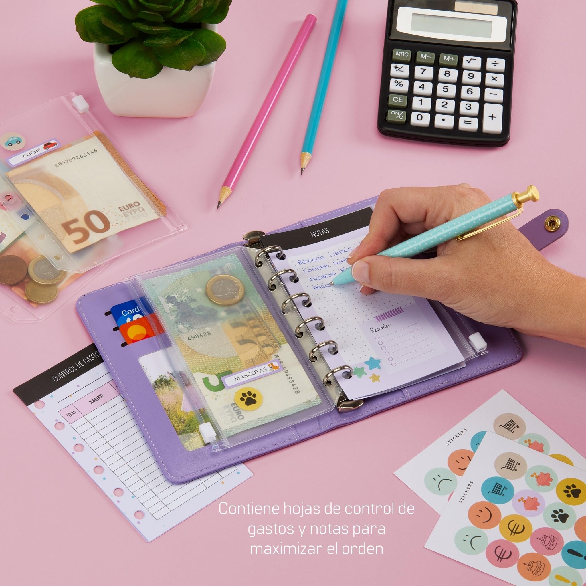 WHEN PIGS FLY - Libreta de Ahorro A7 Completamente en Español - Cuaderno de Ahorro - Carpeta Ahorro Dinero Español - Organizador de dinero - Carpeta de Ahorro de Dinero (Morado)