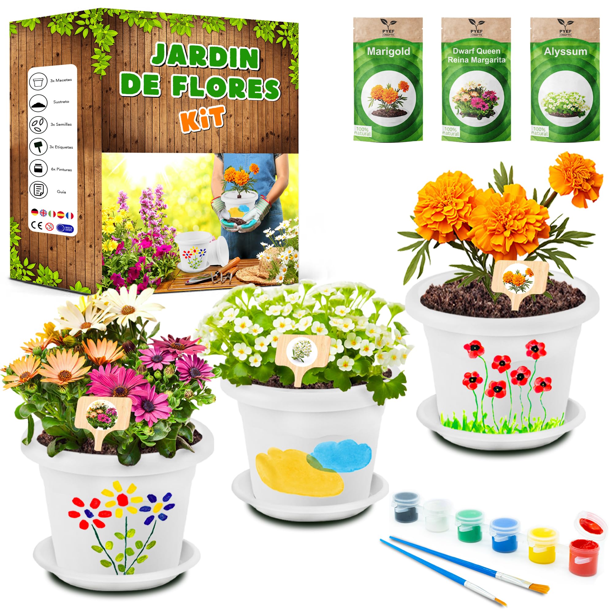 PYEF CRAFTS Kit Cultivo Flores & Pinturas para Niños - Kit Jardineria Niños - Huerto Urbano de Flores (Marigold, Alyssum & Reina Marganita Enana) - Set Huerto Infantil Manualidades