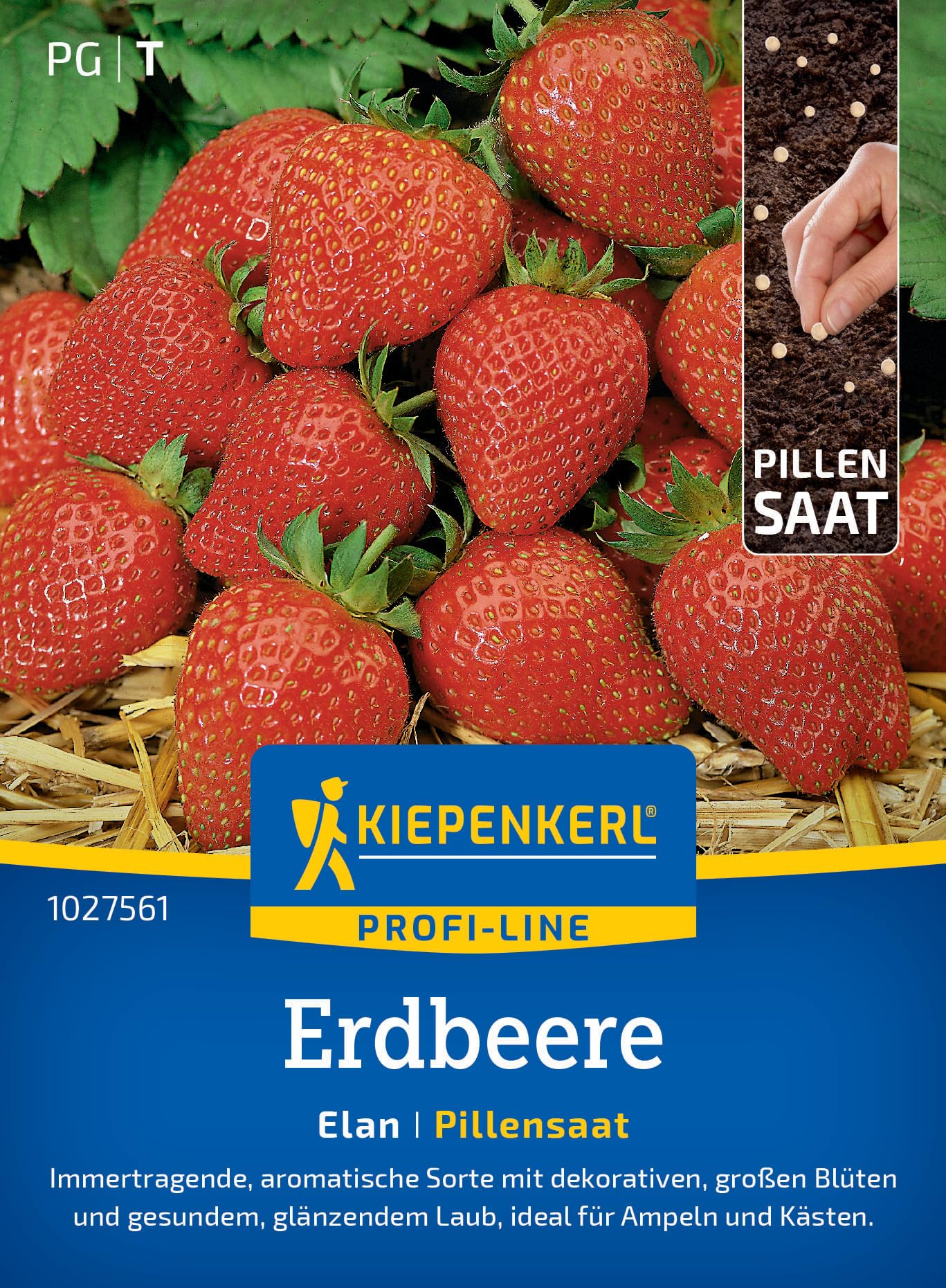 Kiepenkerl Profi-Line Erdbeersamen Elan 1027561 - immertragend - aromatische Sorte - dekorative & große Blüten - Pillensaat, Erdbeerpflanze, Früchte